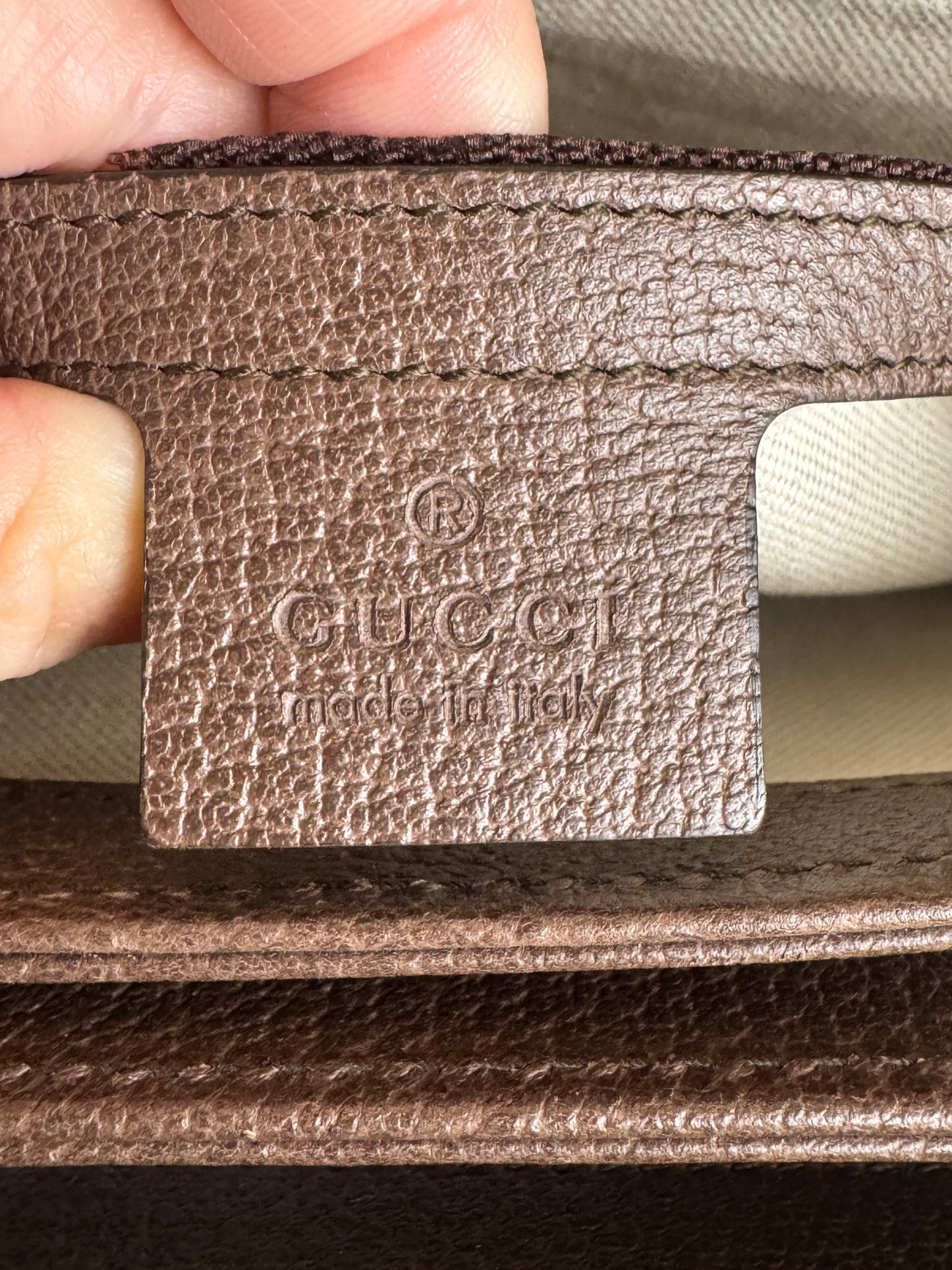 GUCCI GG Supreme Canvas Ophidia Crossbody