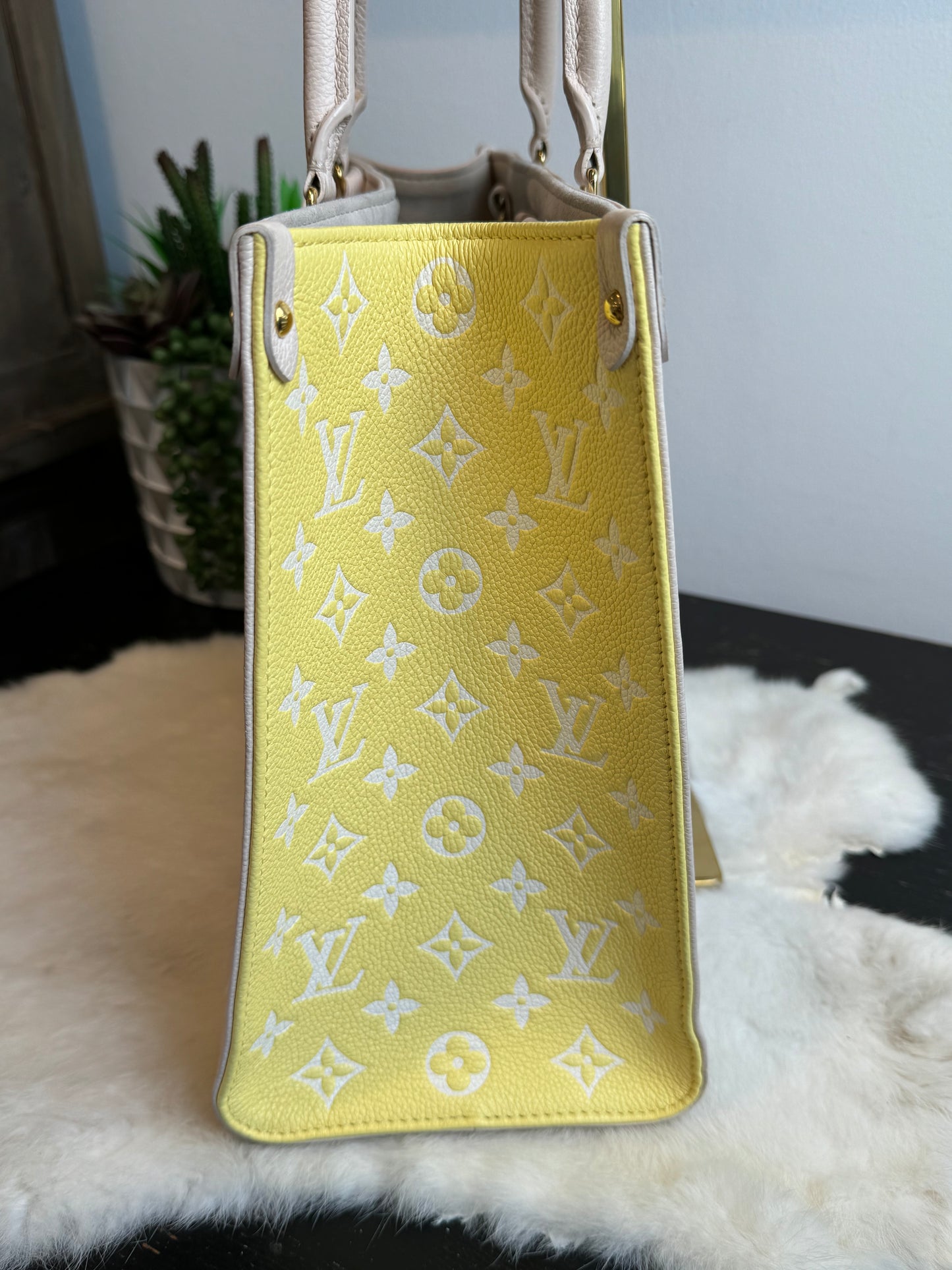 Louis Vuitton ONTHEGO MM SPRING IN THE CITY