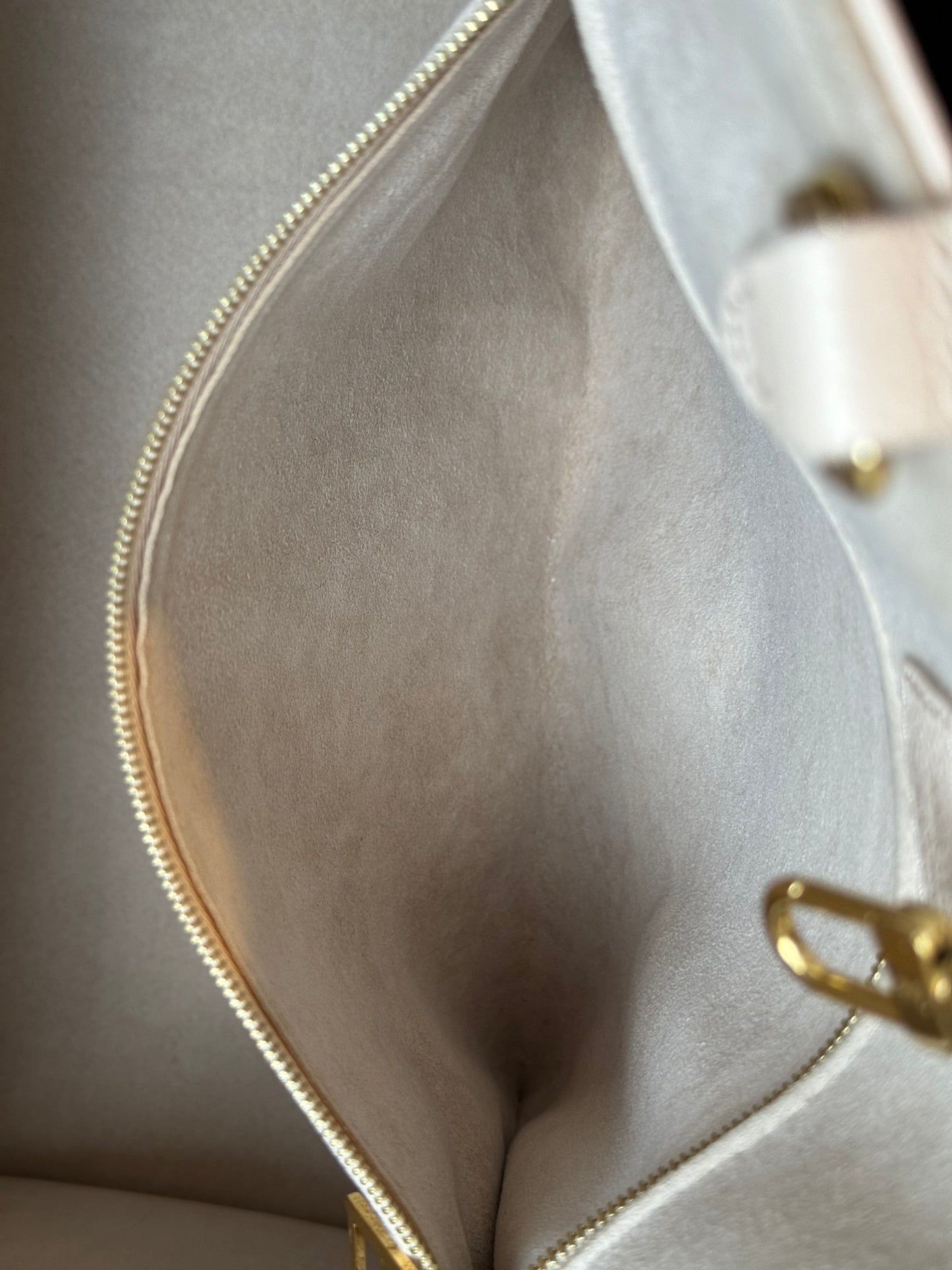 Louis Vuitton ONTHEGO MM SPRING IN THE CITY