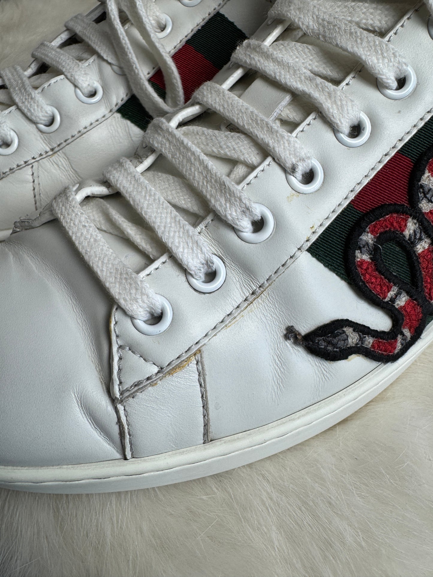 GUCCI Ace King Snake Sneakers 8.5EU (41.5EU)