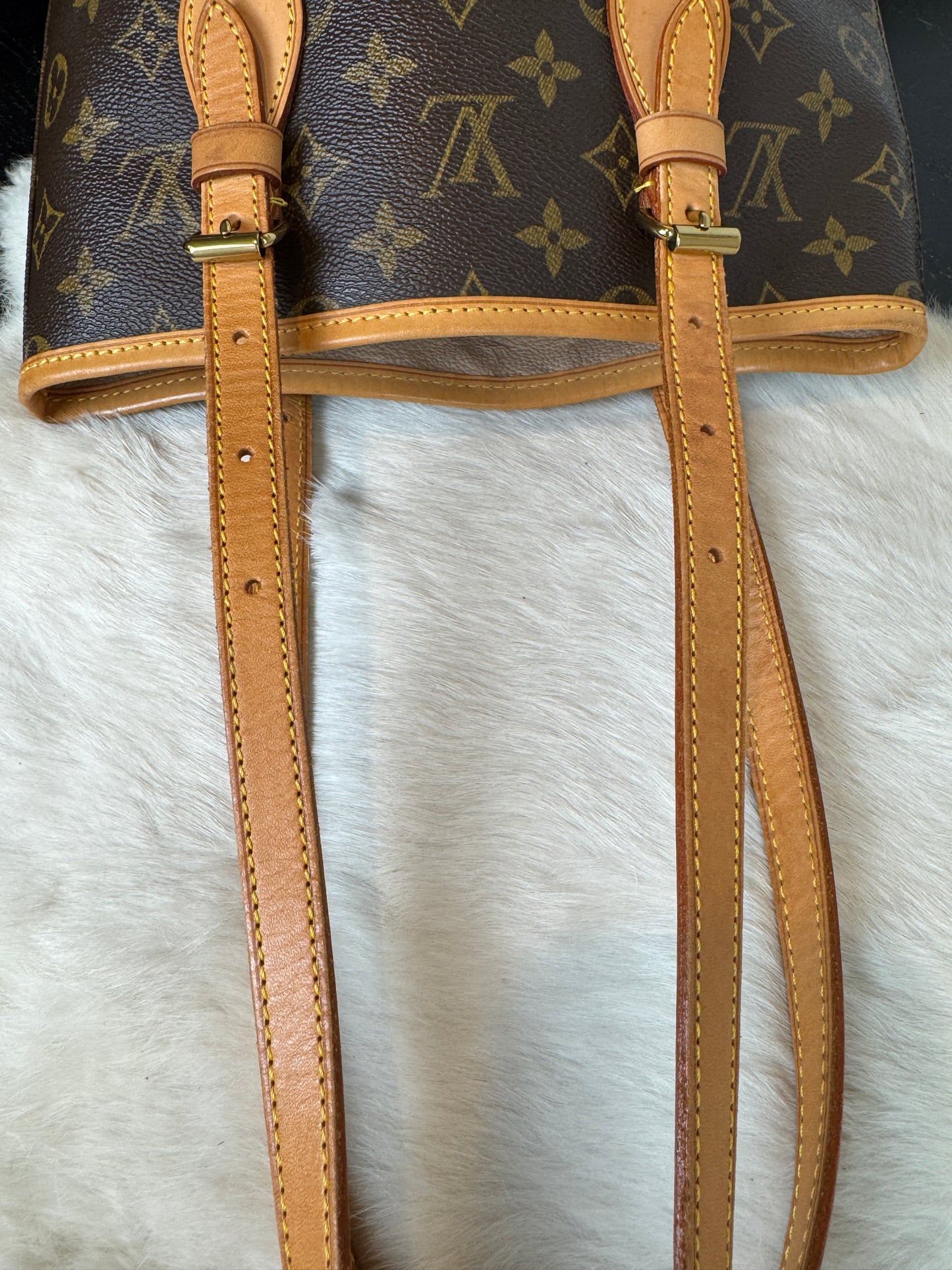 Louis Vuitton Monogram Petit Bucket PM
