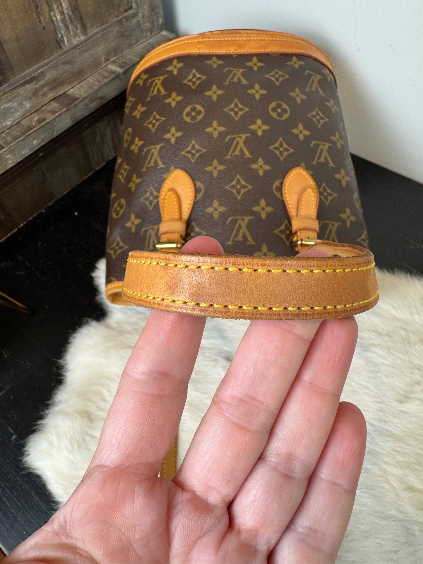 Louis Vuitton Monogram Petit Bucket PM