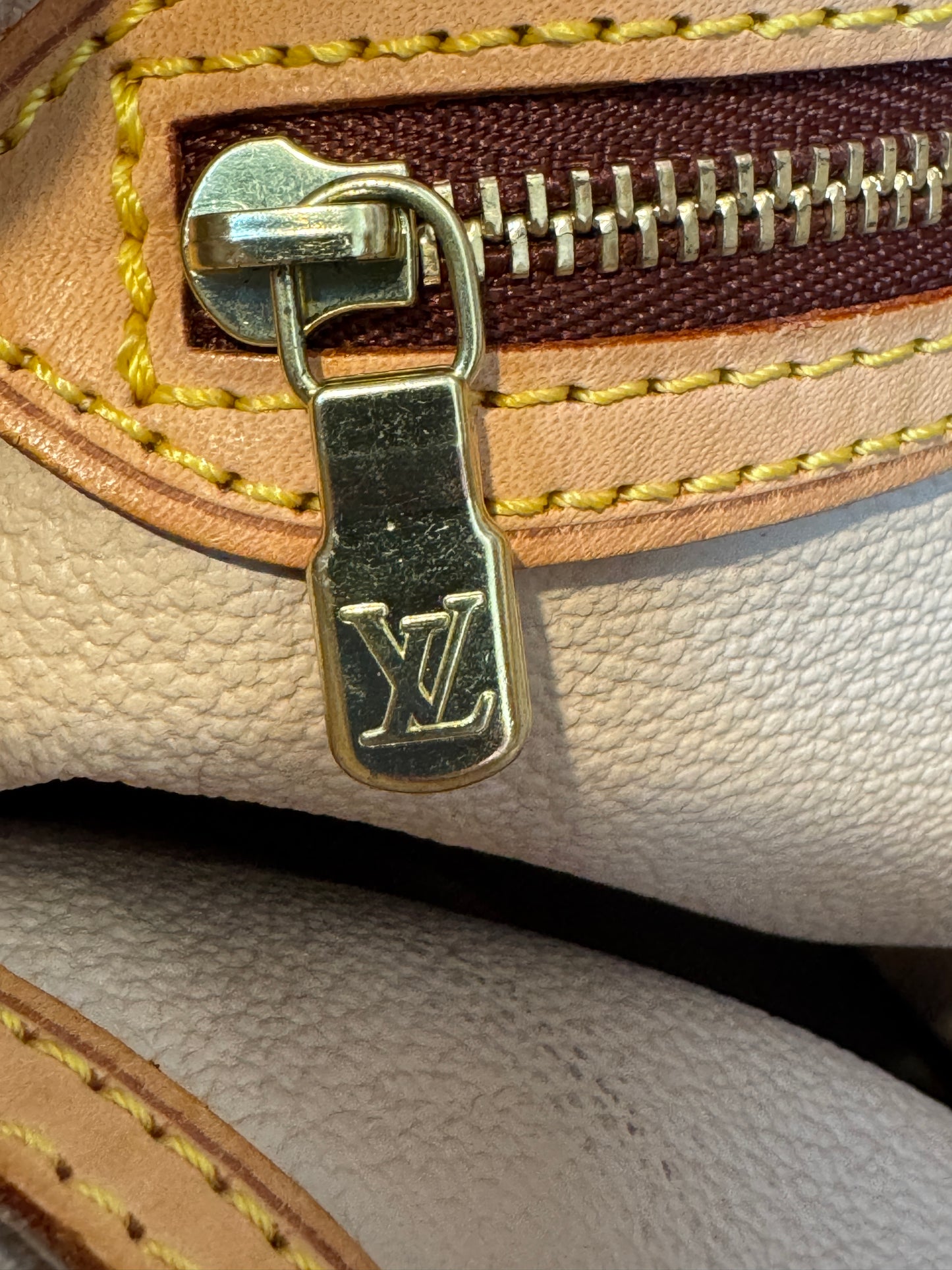 Louis Vuitton Monogram Petit Bucket PM