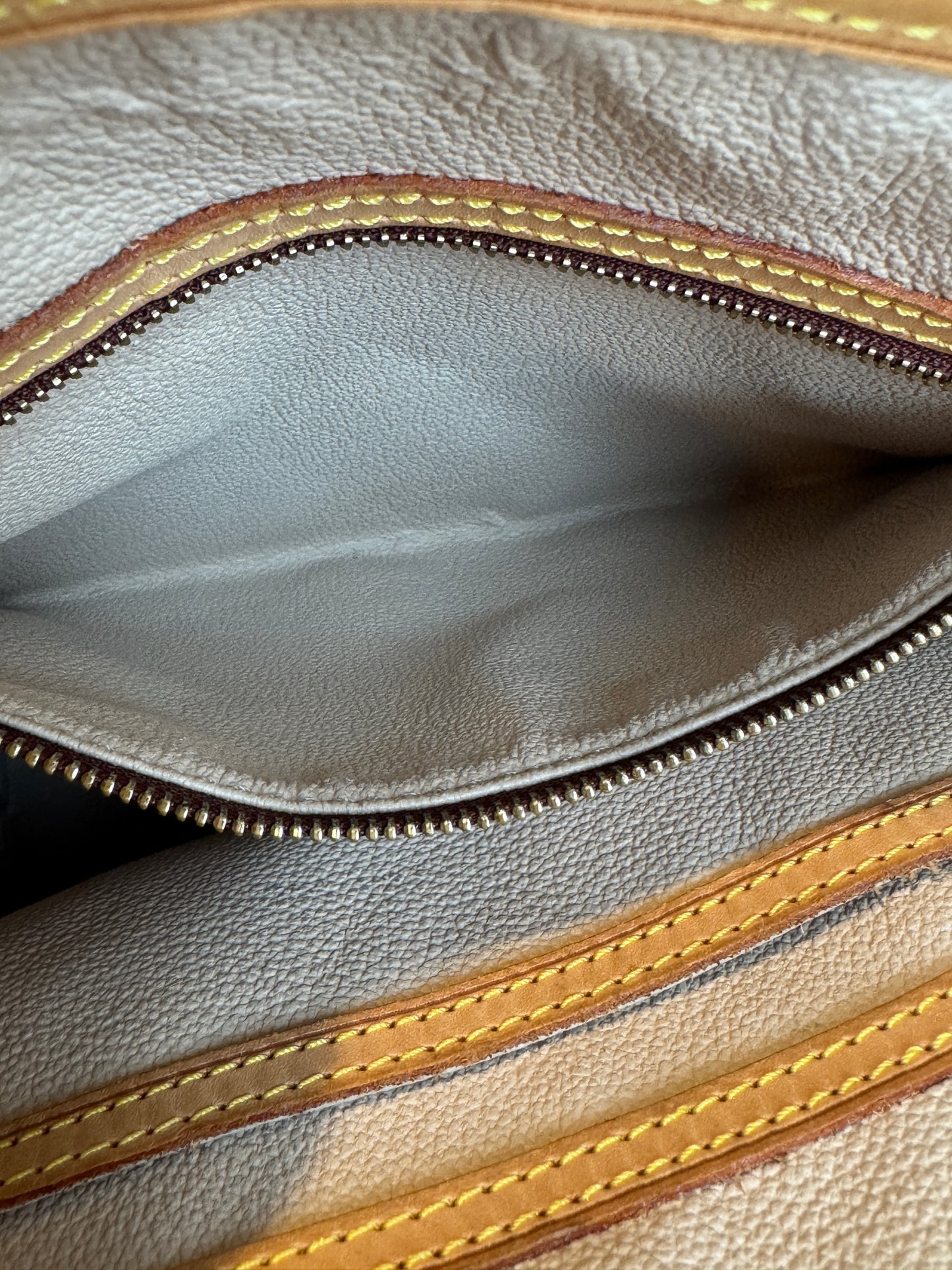 Louis Vuitton Monogram Petit Bucket PM