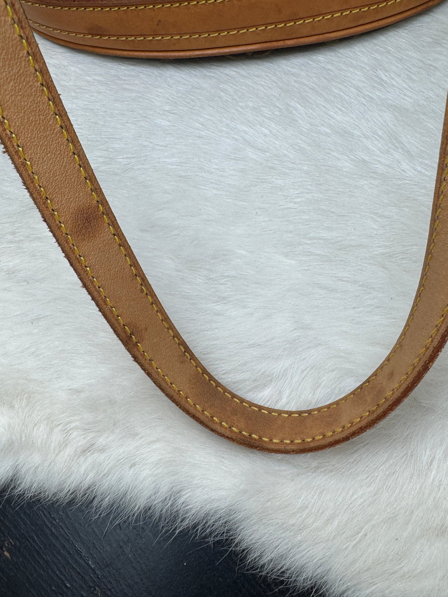 Louis Vuitton Monogram Petit Bucket PM