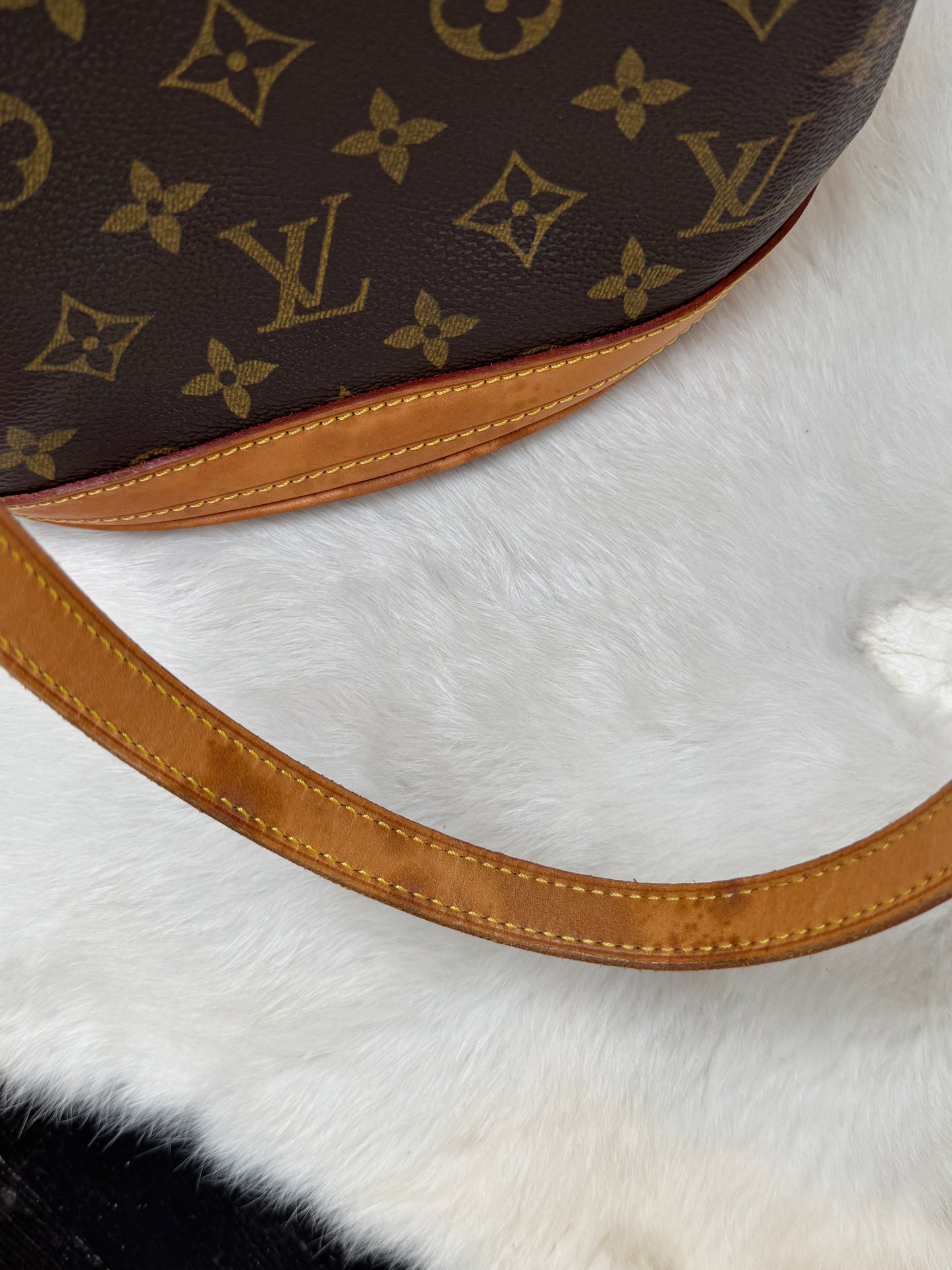 Louis Vuitton Monogram Petit Bucket PM