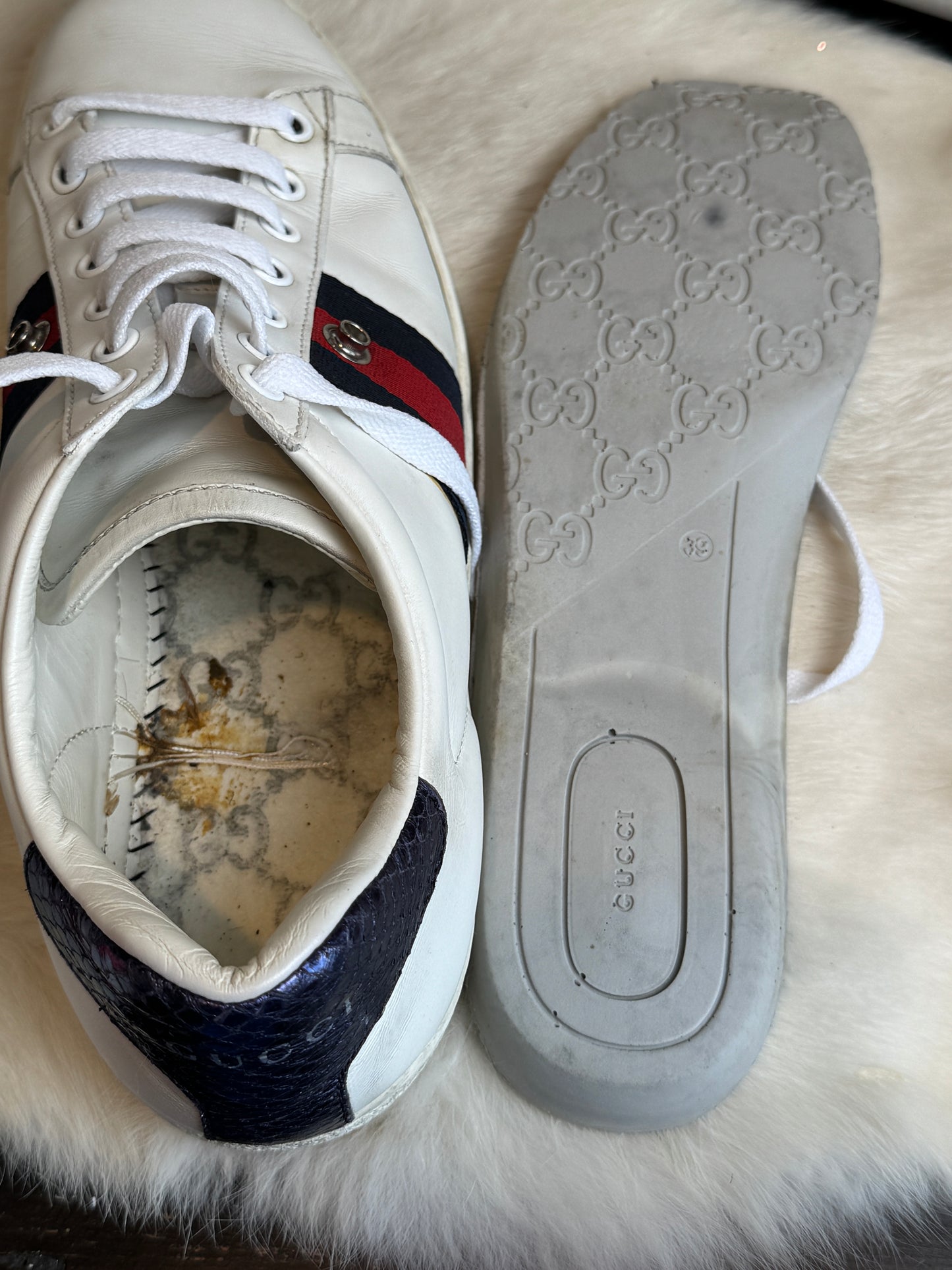 Gucci Ace Web Snaps Sneakers Women's Size 38.5EU