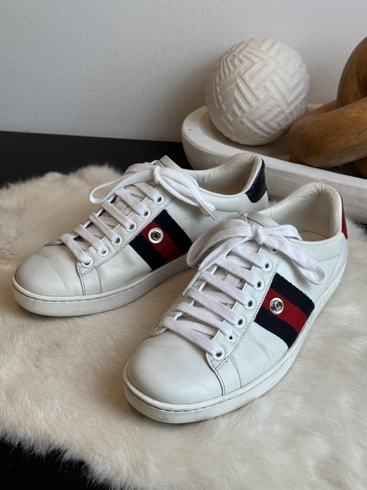 Gucci Ace Web Navy/Red Snaps Women's Sneakers Size 34EU