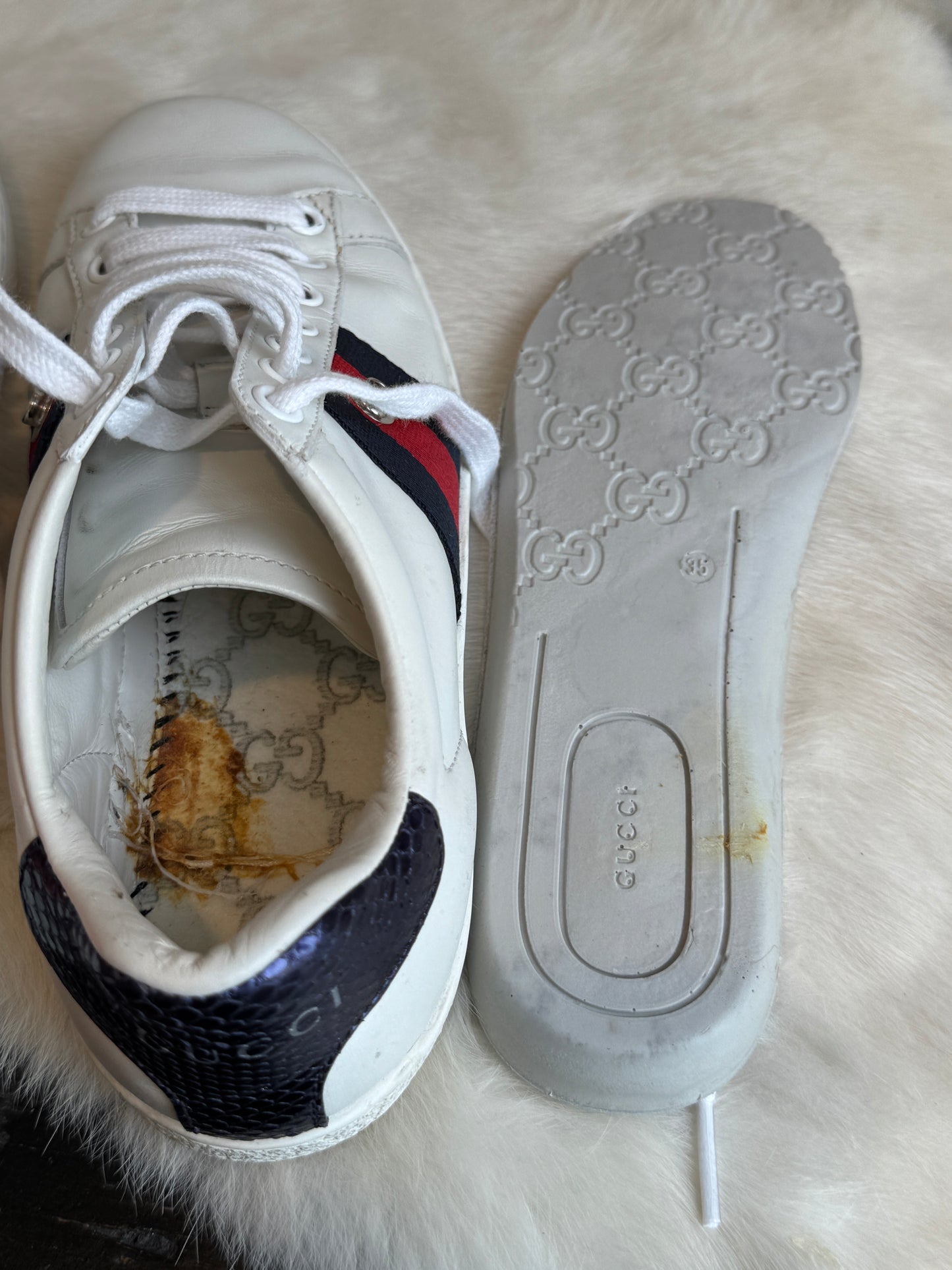 Gucci Ace Web Navy/Red Snaps Sneakers Size 34EU