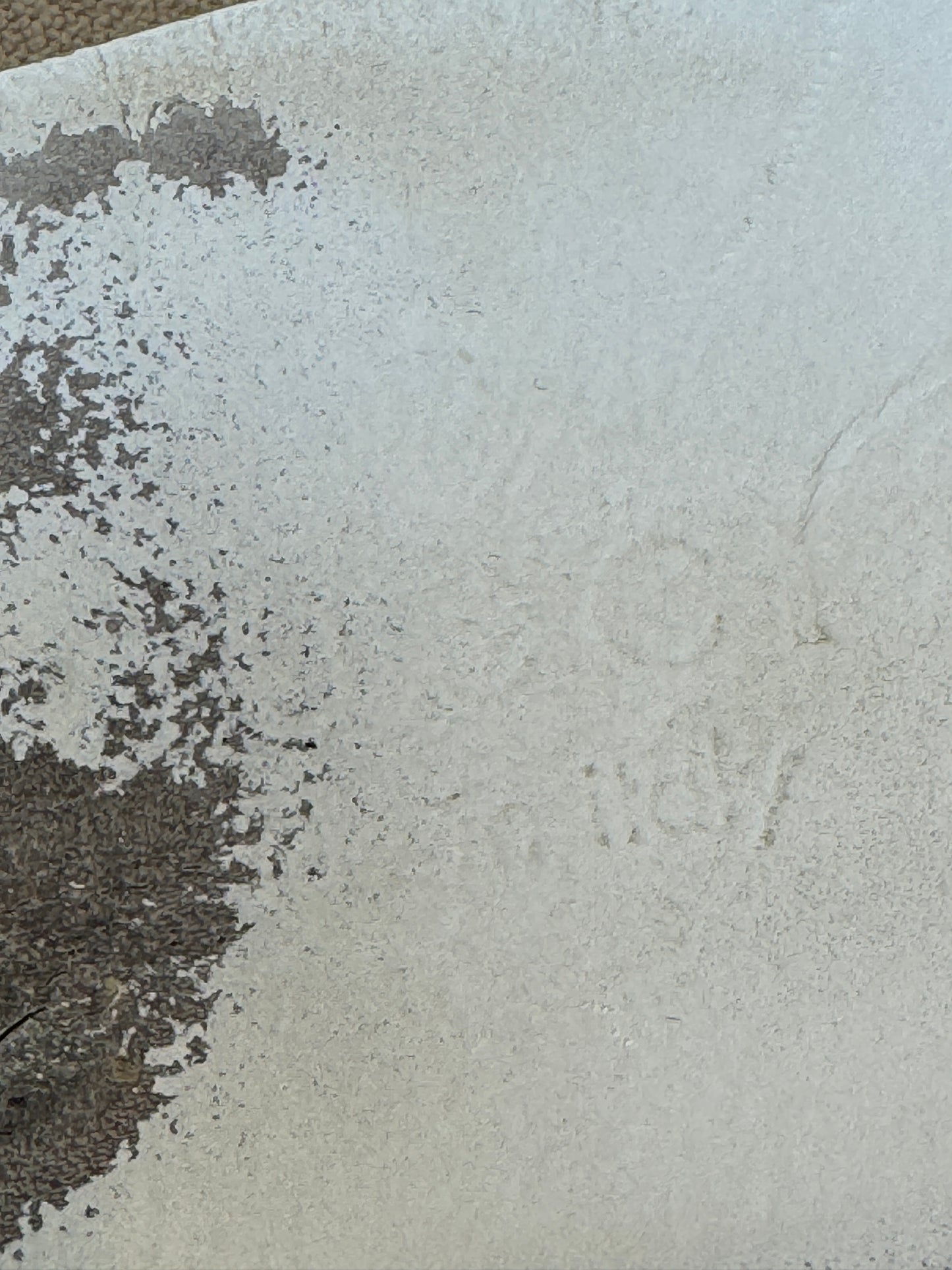 GUCCI Ace Bee's Men's Sneakers 9EU (Women's 42EU)