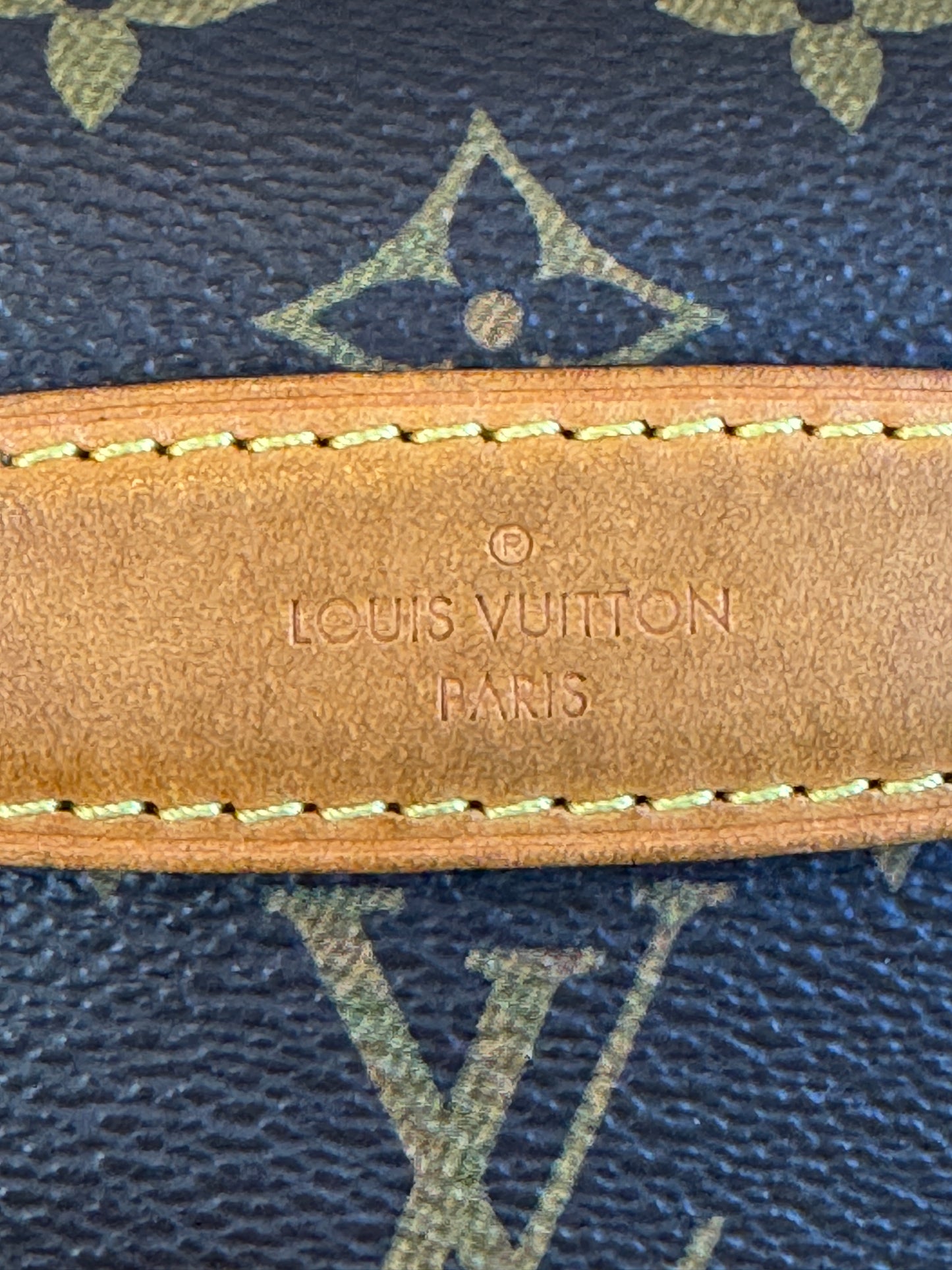 Louis Vuitton Monogram Original Bumbag