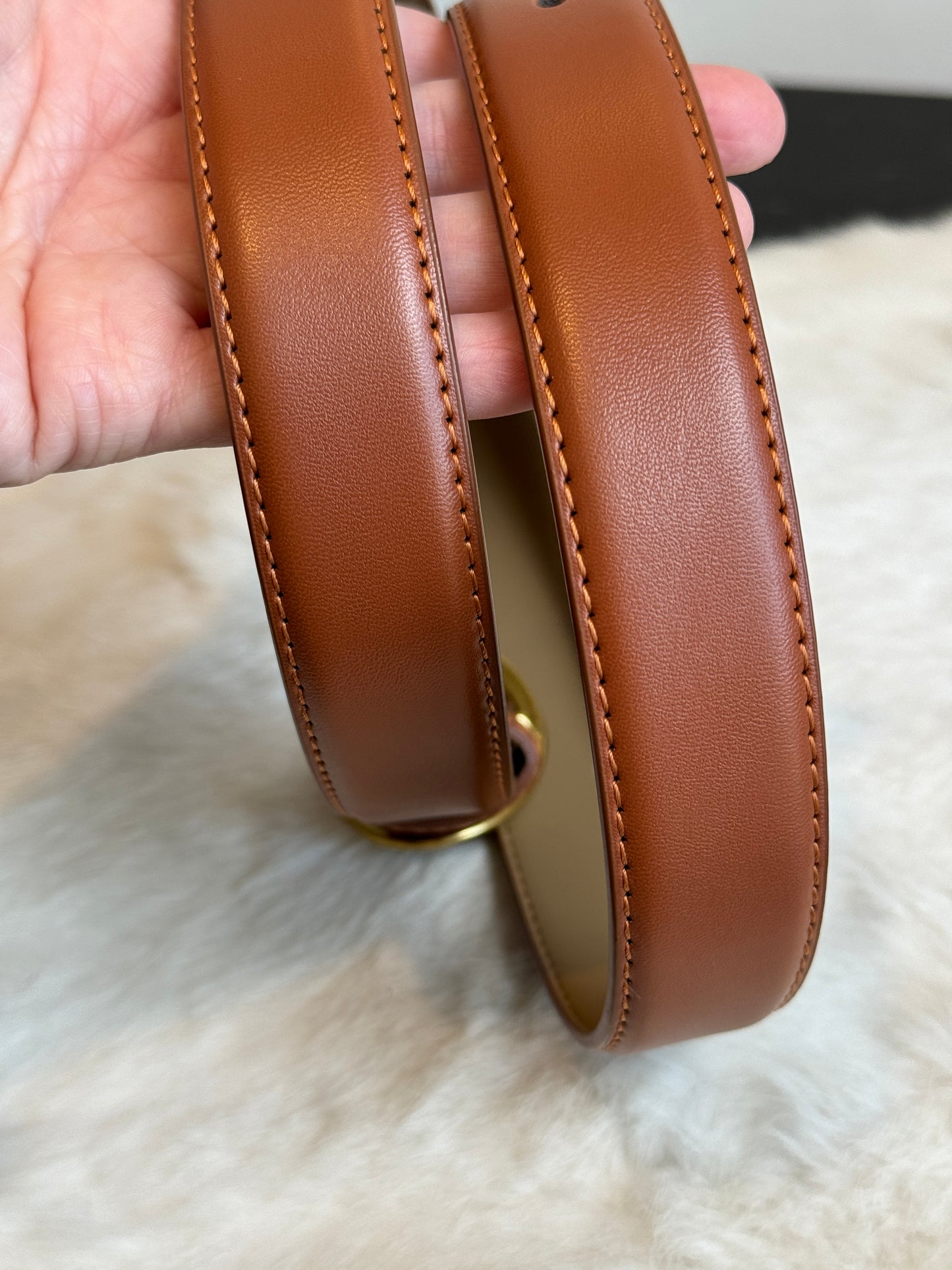 Louis Vuitton Arche Belt Bag Monogram