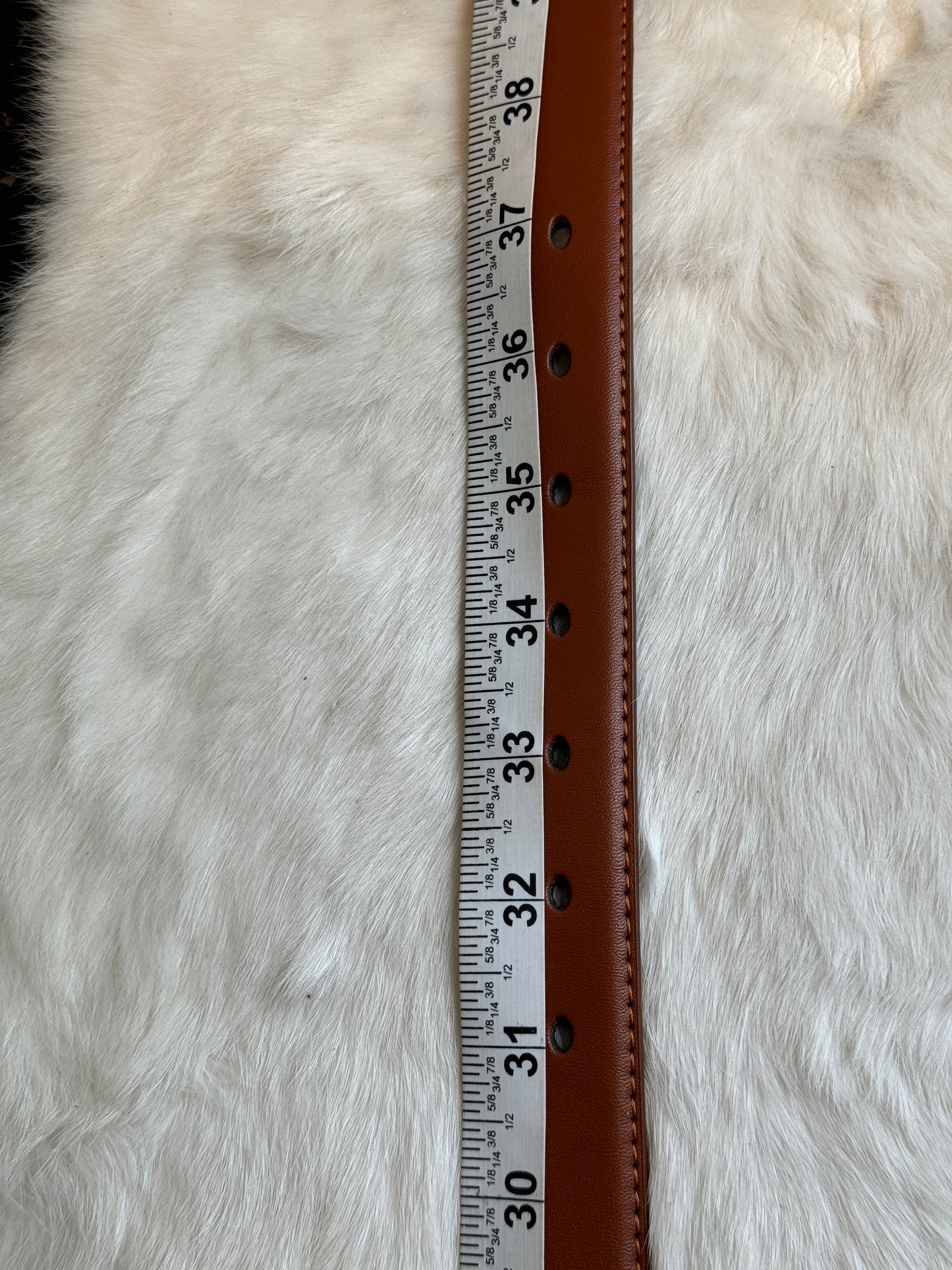 Louis Vuitton Arche Belt Bag Monogram