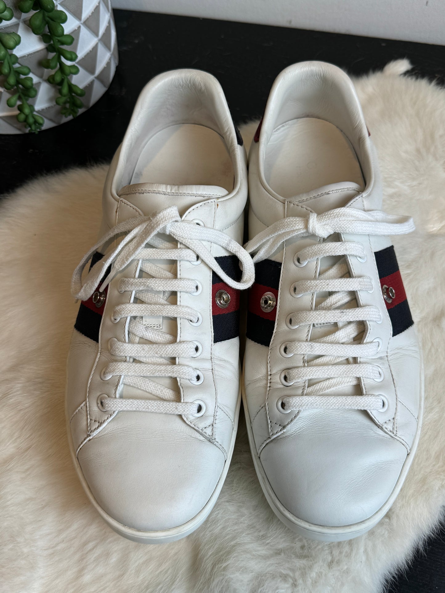 GUCCI Ace Navy/Red Web Snaps Mens 10EU