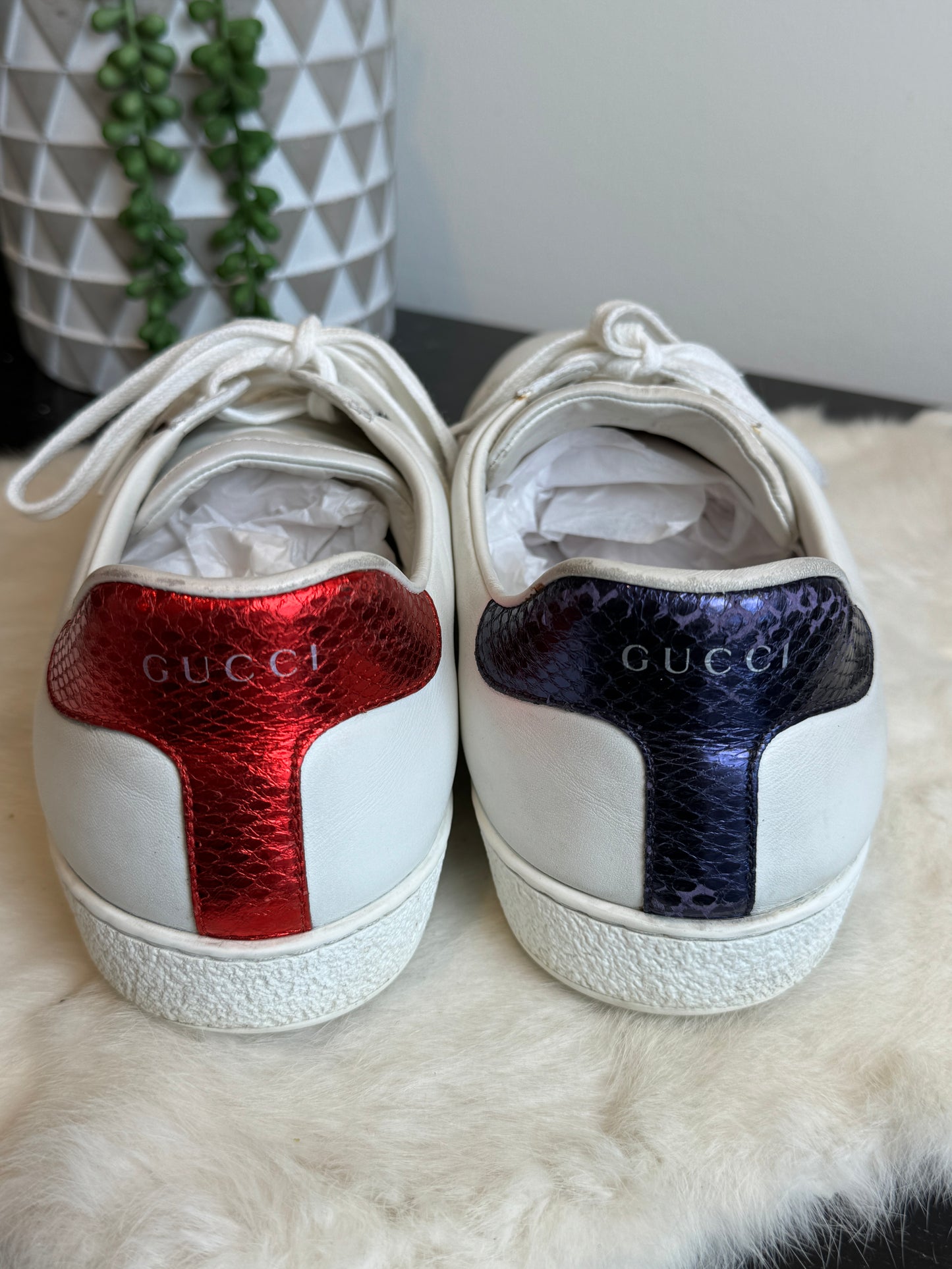 GUCCI Ace Navy/Red Web Snaps Mens 10EU