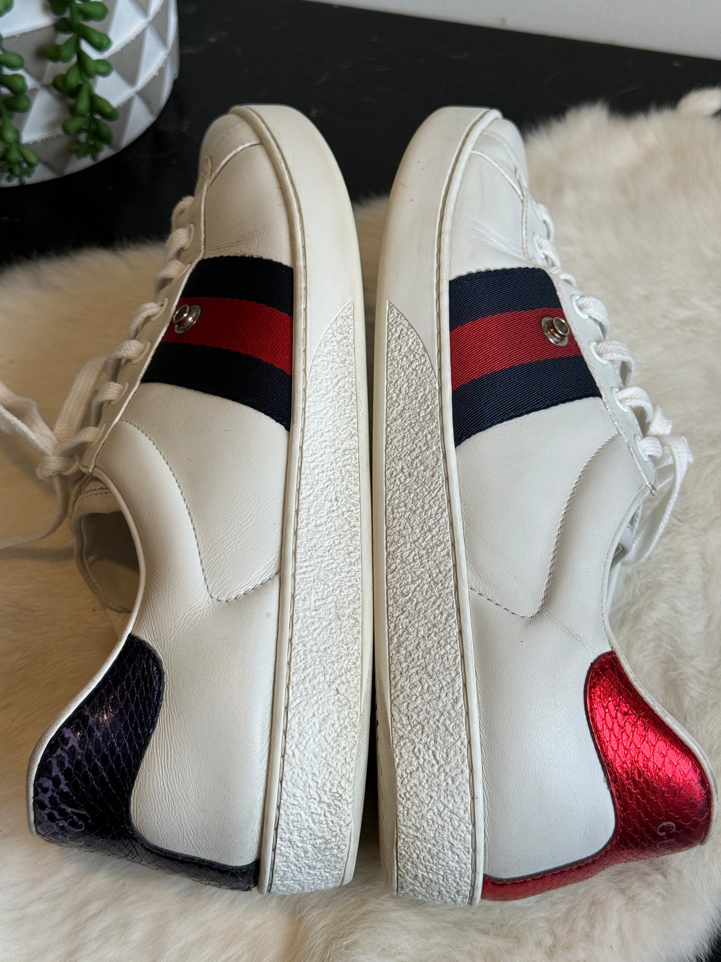 GUCCI Ace Navy/Red Web Snaps Mens 10EU
