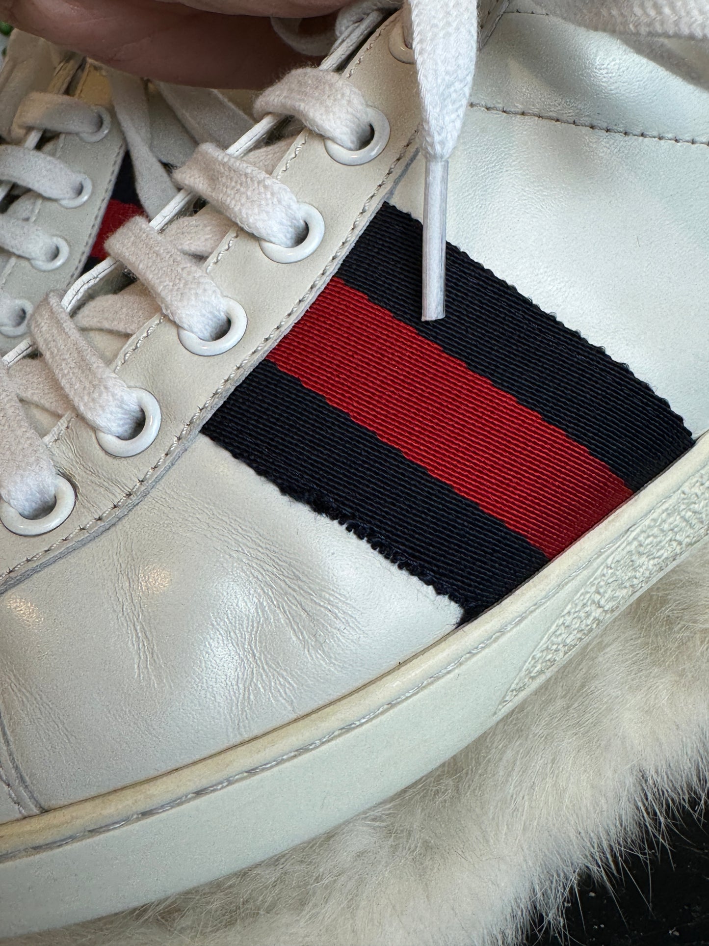 GUCCI Ace Navy/Red Web Women's Sneakers 36.5EU
