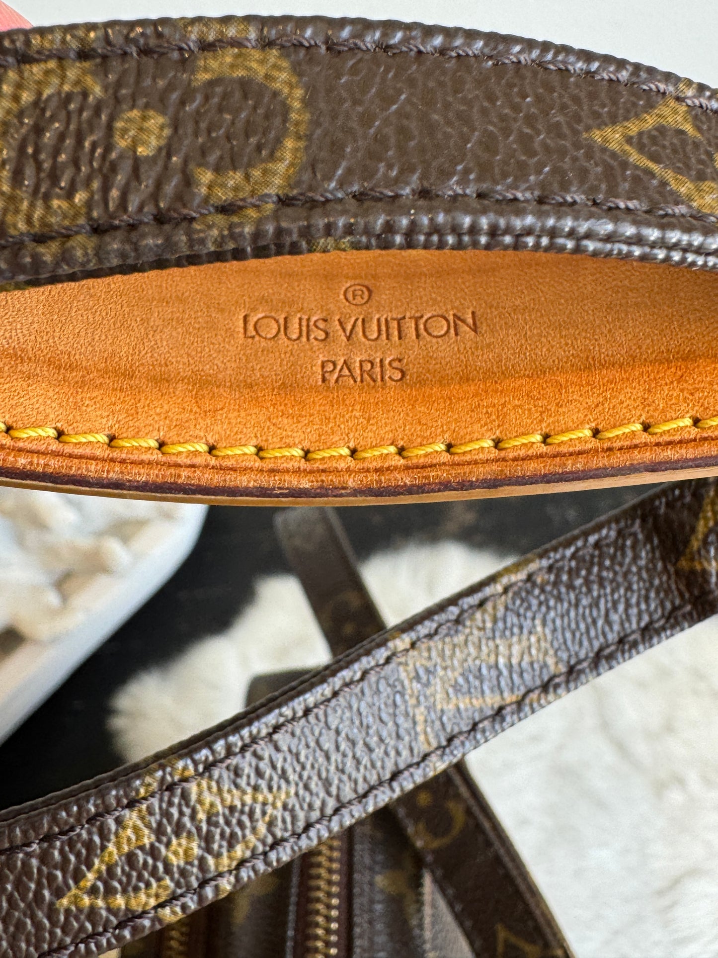 Louis Vuitton Amazon Monogram Crossbody Bag