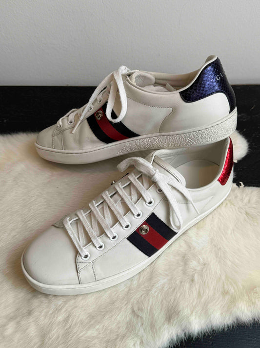 Gucci Ace Web Snaps Women's Sneakers Size 39EU/39.5EU
