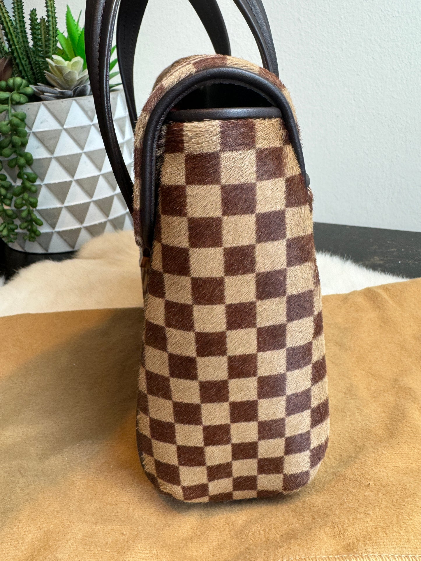 Louis Vuitton Limited Edition Sauvage Lionne Damier Ebene