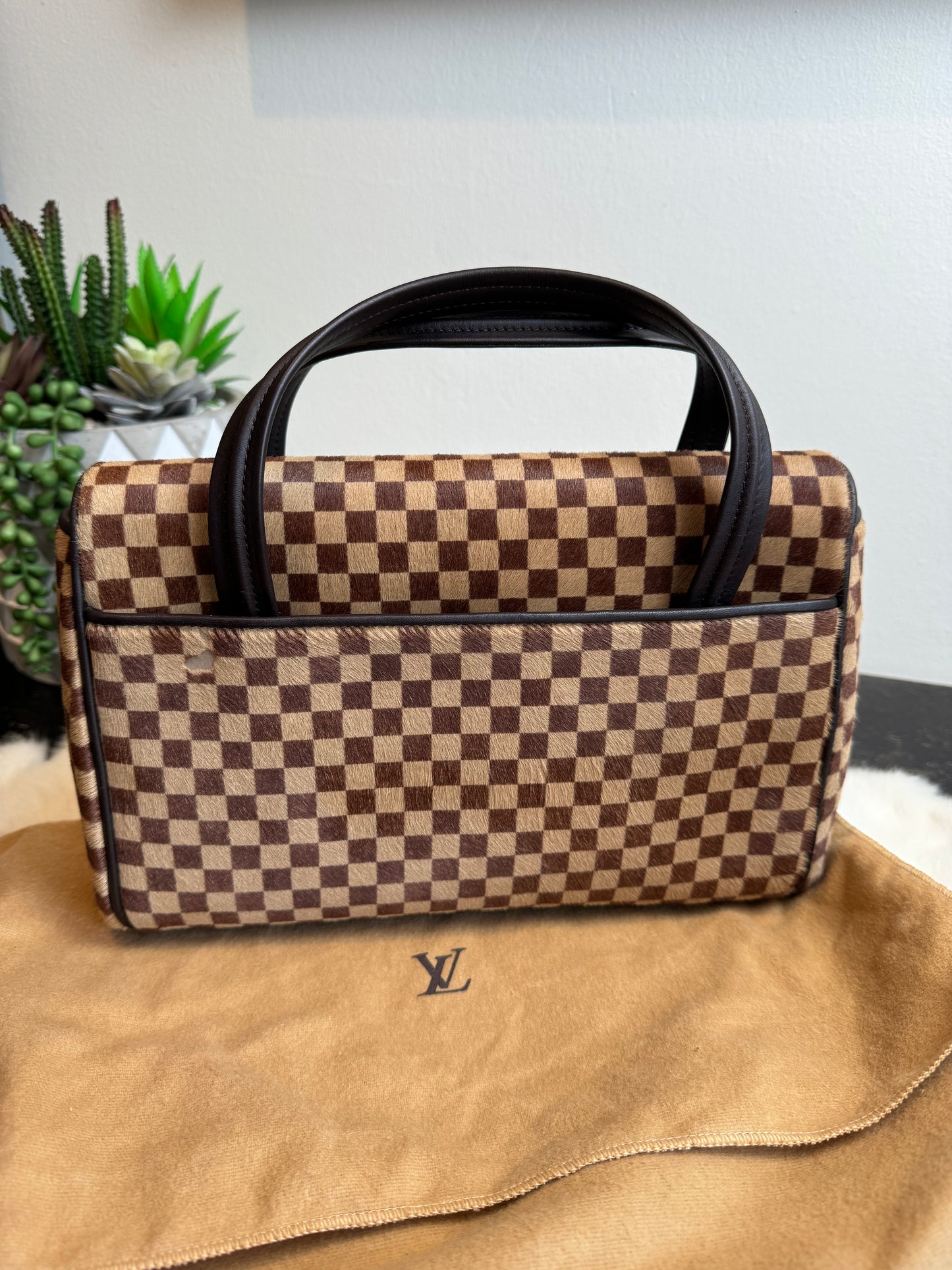 Louis Vuitton Limited Edition Sauvage Lionne Damier Ebene