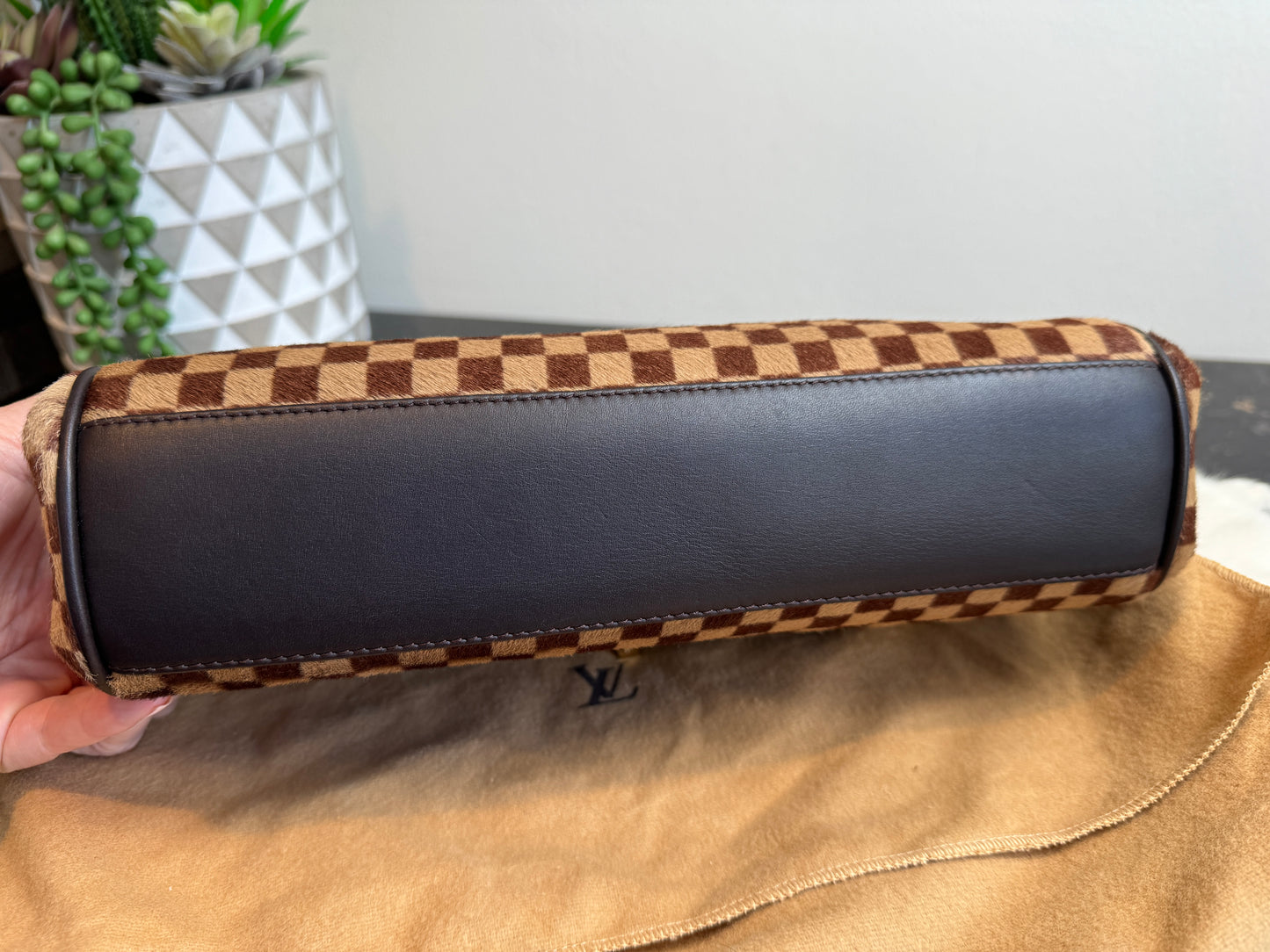 Louis Vuitton Limited Edition Sauvage Lionne Damier Ebene