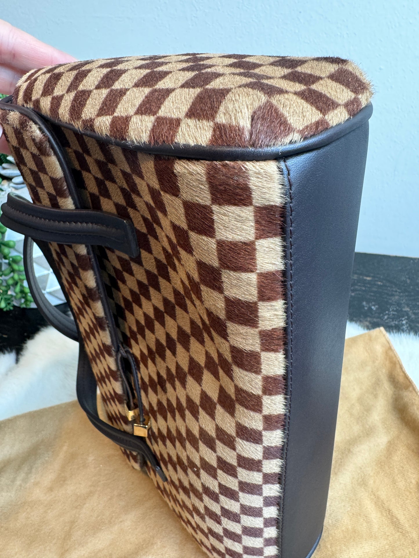 Louis Vuitton Limited Edition Sauvage Lionne Damier Ebene