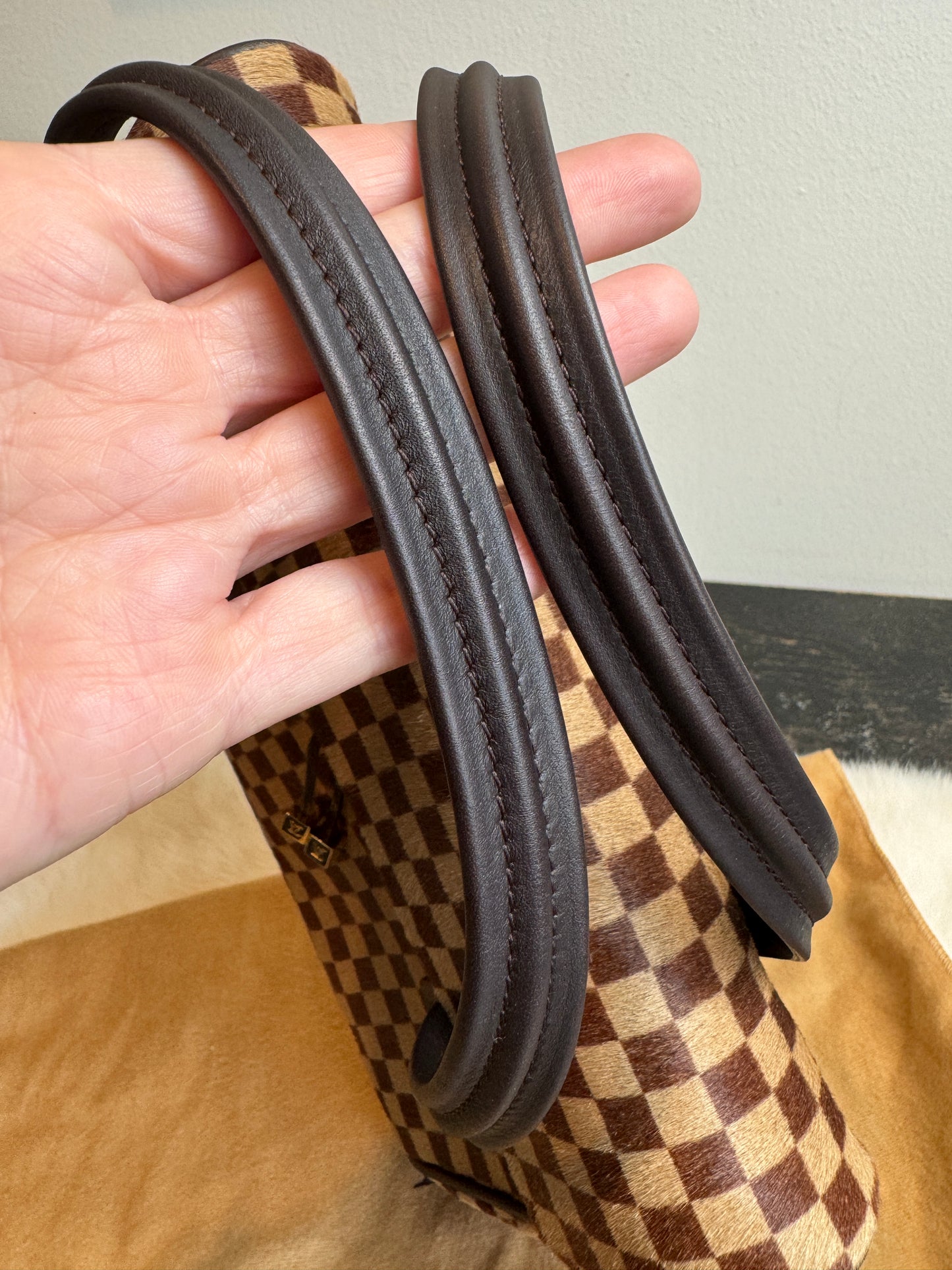 Louis Vuitton Limited Edition Sauvage Lionne Damier Ebene
