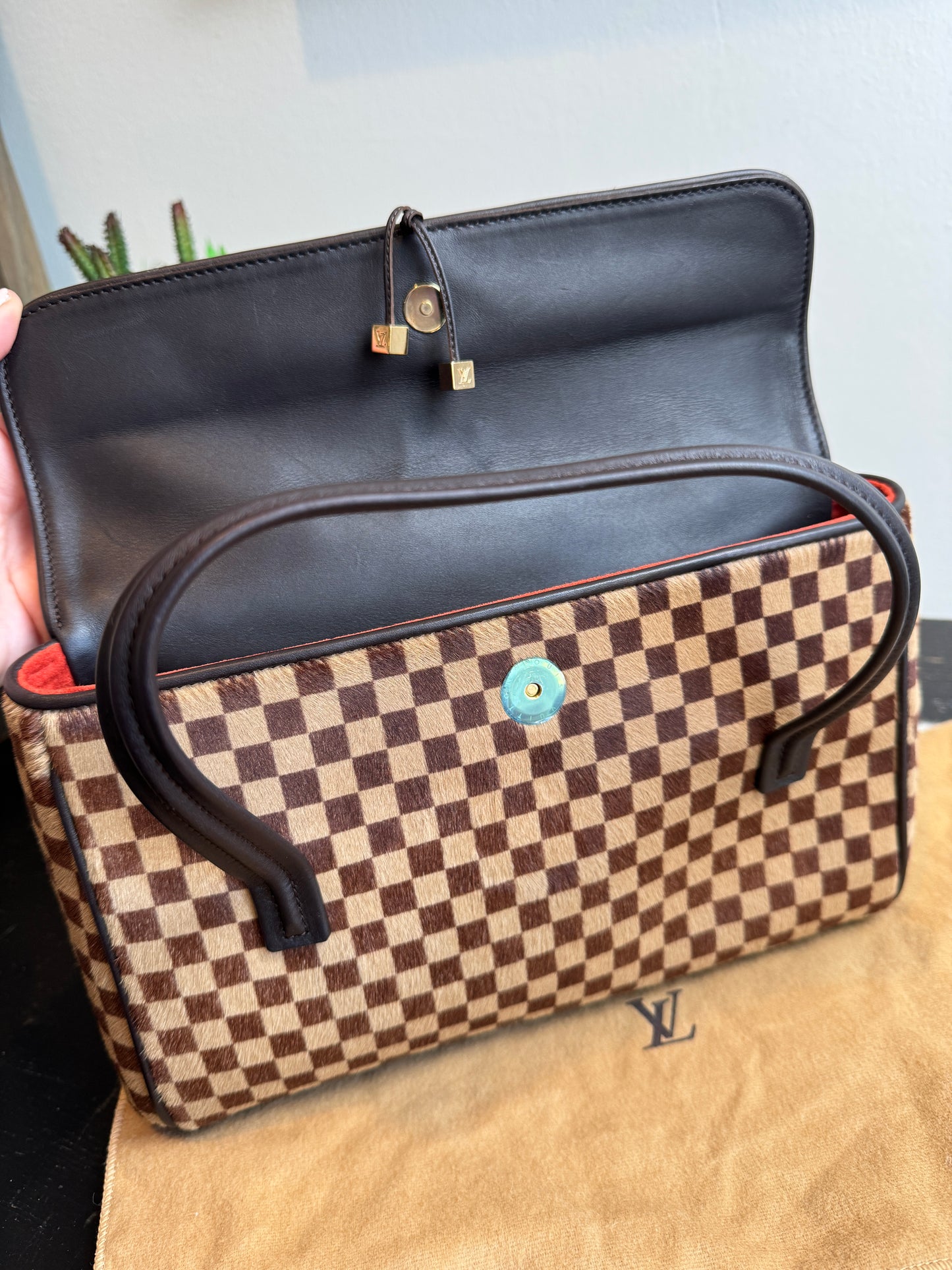 Louis Vuitton Limited Edition Sauvage Lionne Damier Ebene