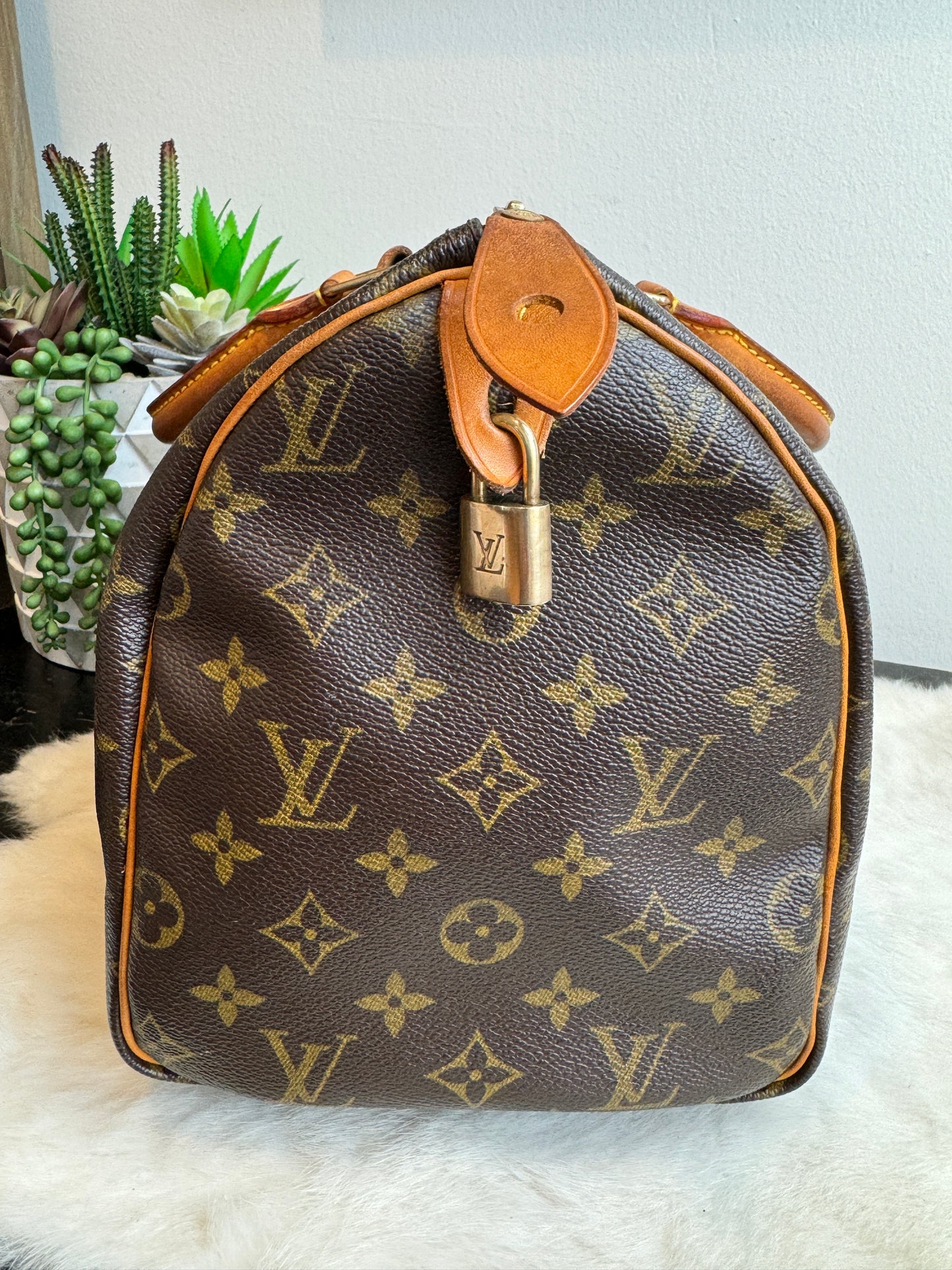 Louis Vuitton Monogram Speedy 30