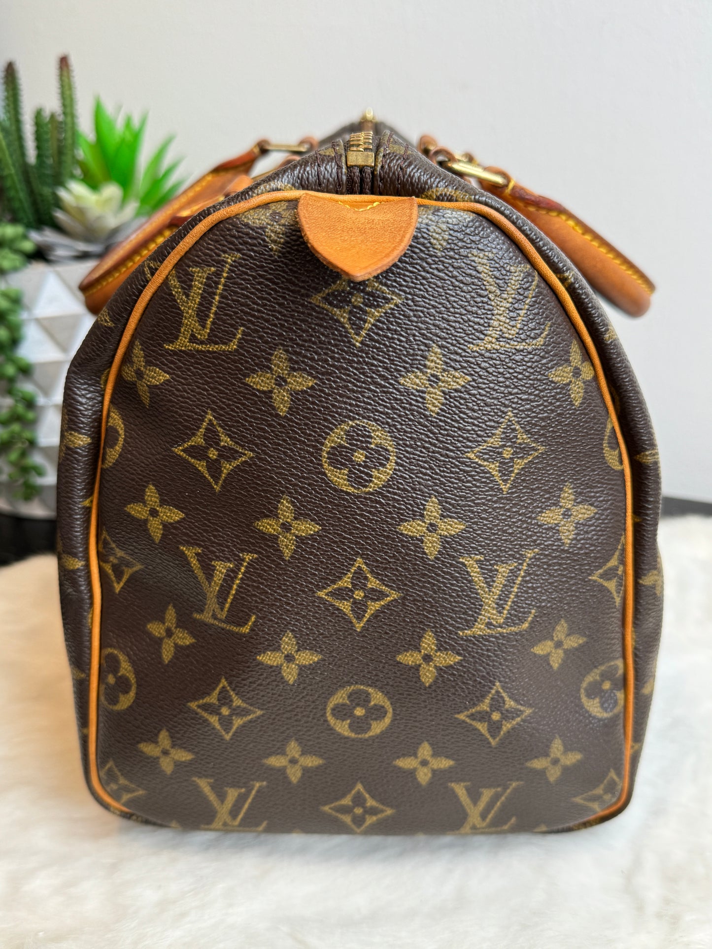 Louis Vuitton Monogram Speedy 30