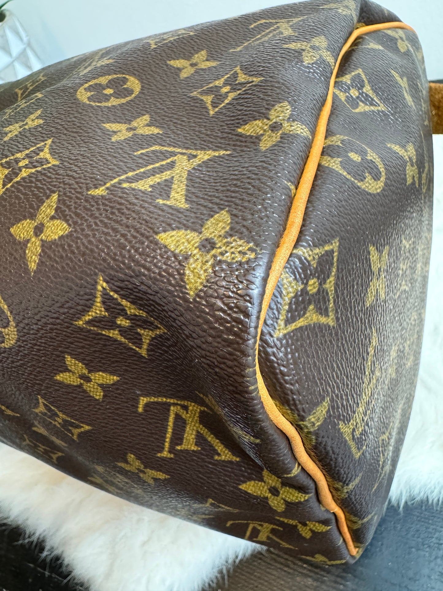 Louis Vuitton Monogram Speedy 30