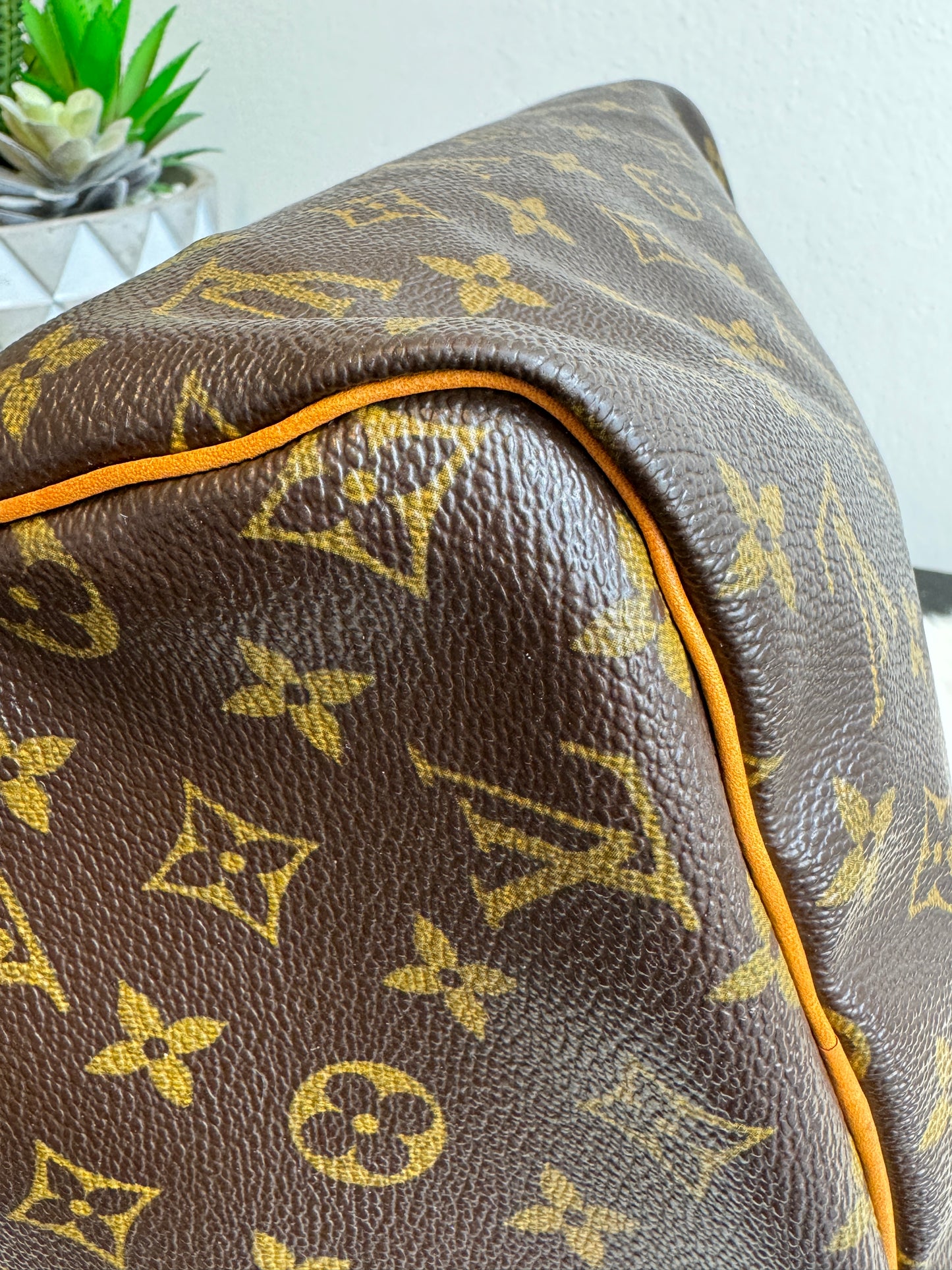 Louis Vuitton Monogram Speedy 30