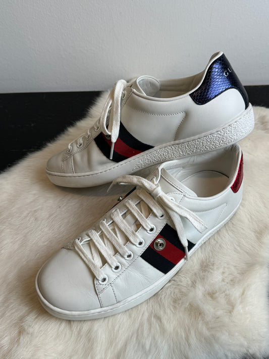 Gucci Ace Web Snaps Women's Sneakers Size 35.5EU