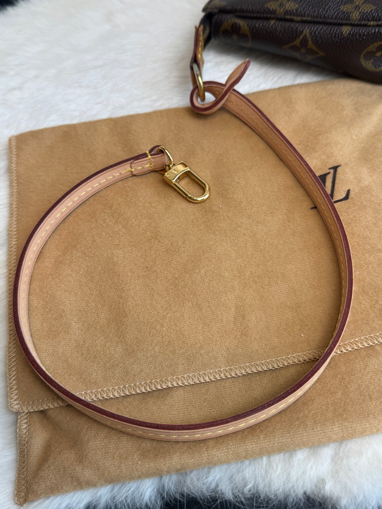 Louis Vuitton Monogram Pochette Accessoires