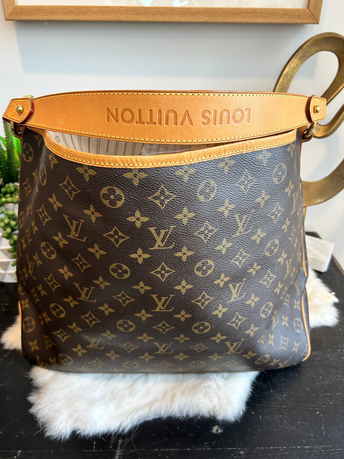 Louis Vuitton Delightful MM Monogram