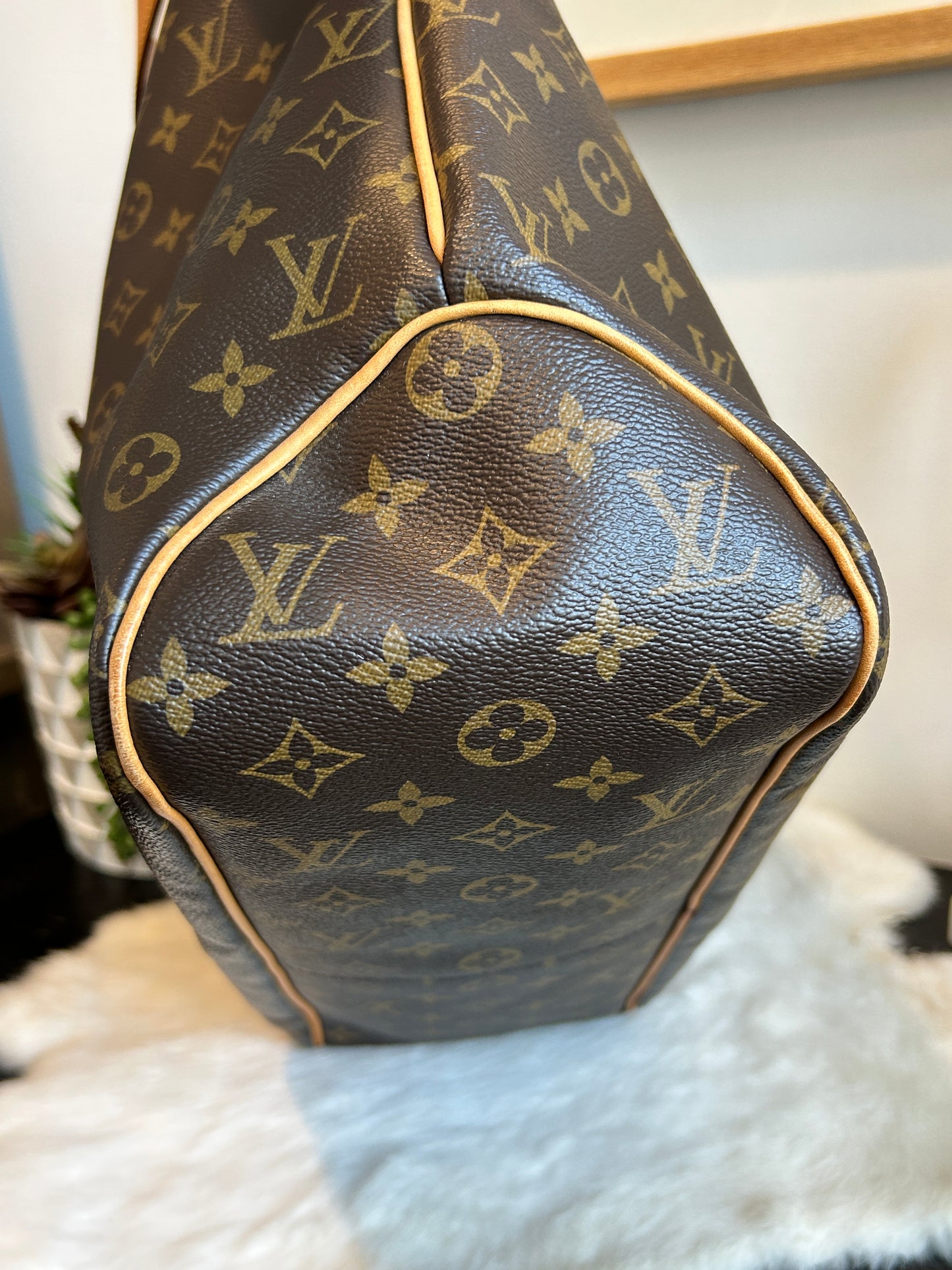 Louis Vuitton Delightful MM Monogram