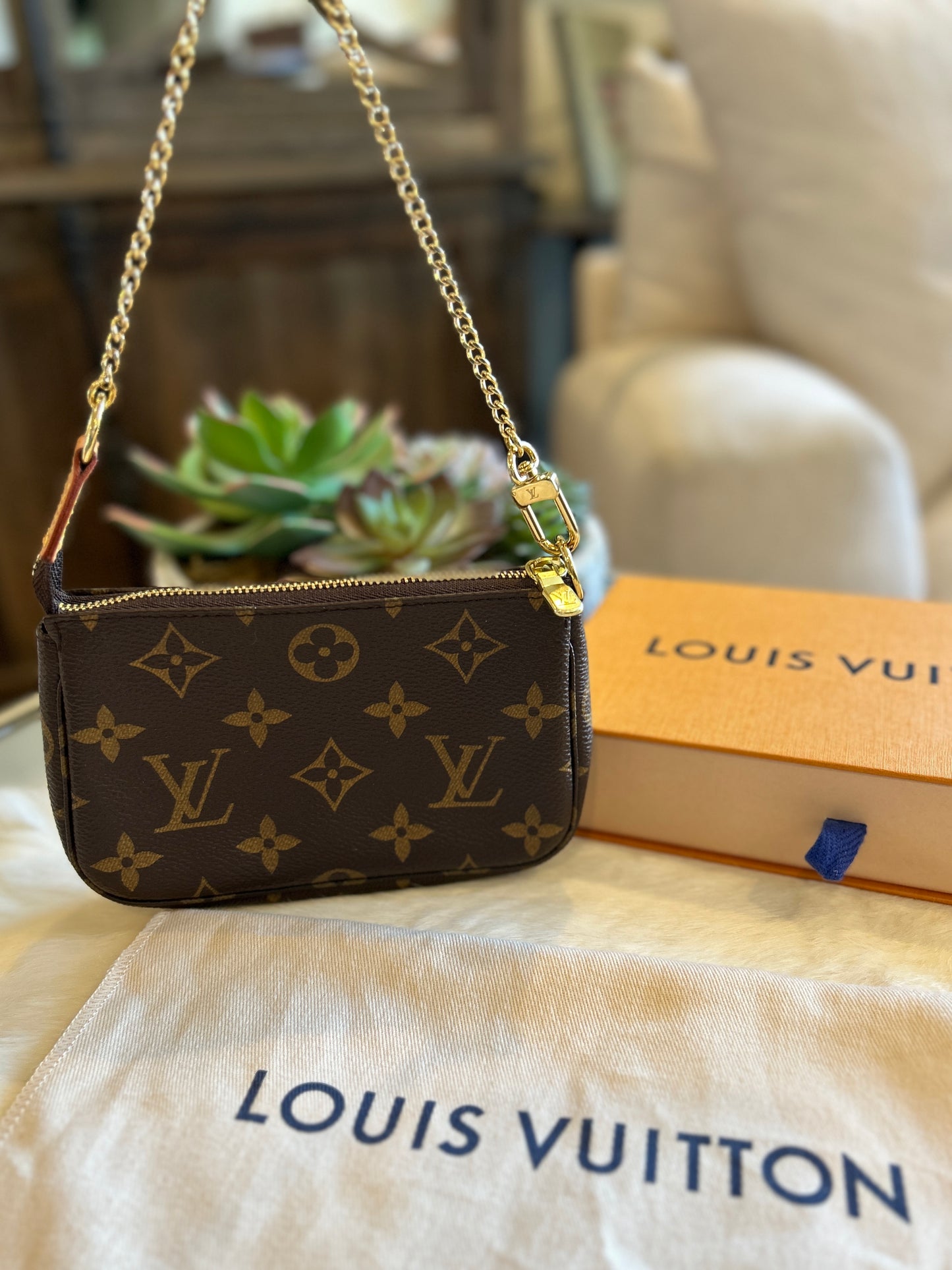 Louis Vuitton Monogram Mini Pochette – Ascherman Home