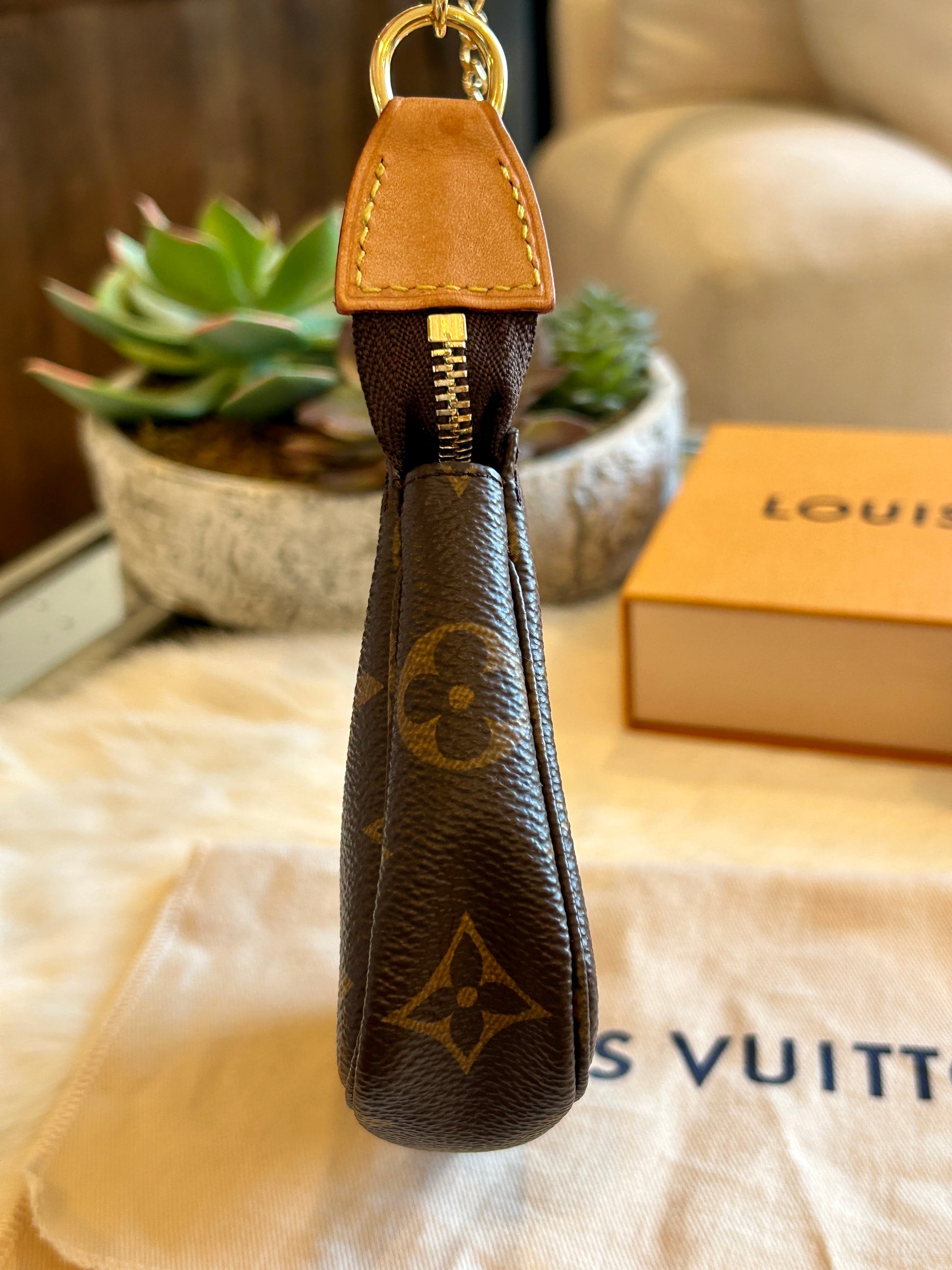 Louis Vuitton Monogram Mini Pochette – Ascherman Home