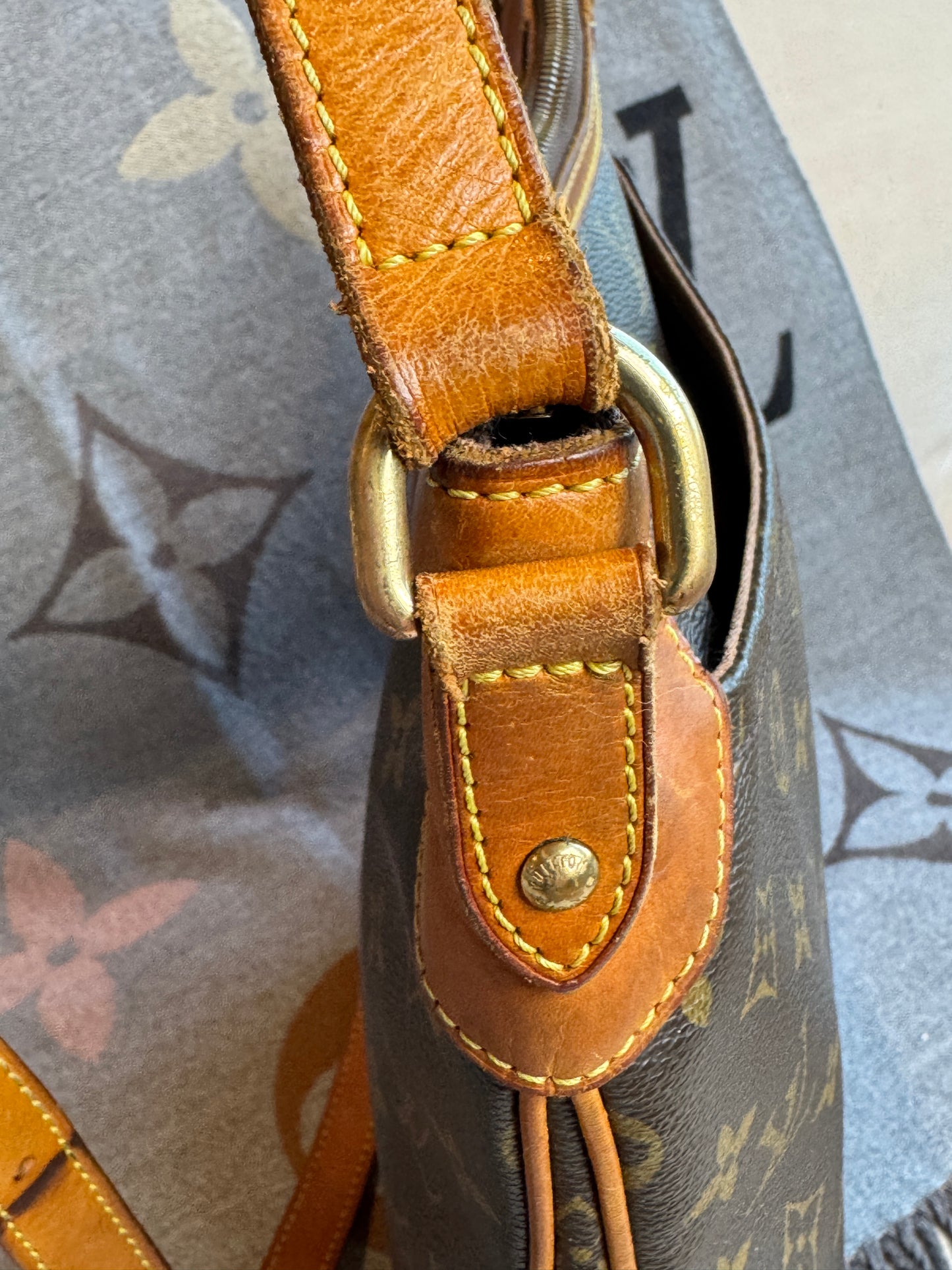 Louis Vuitton Monogram Odeon MM Crossbody Bag