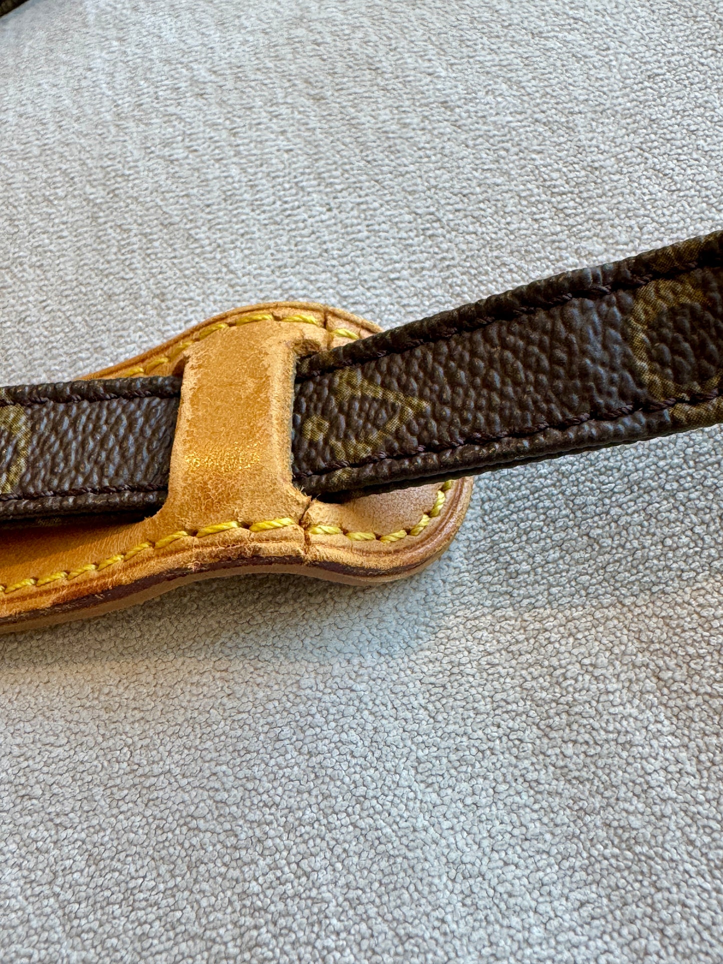 Louis Vuitton Danube Monogram Crossbody Bag