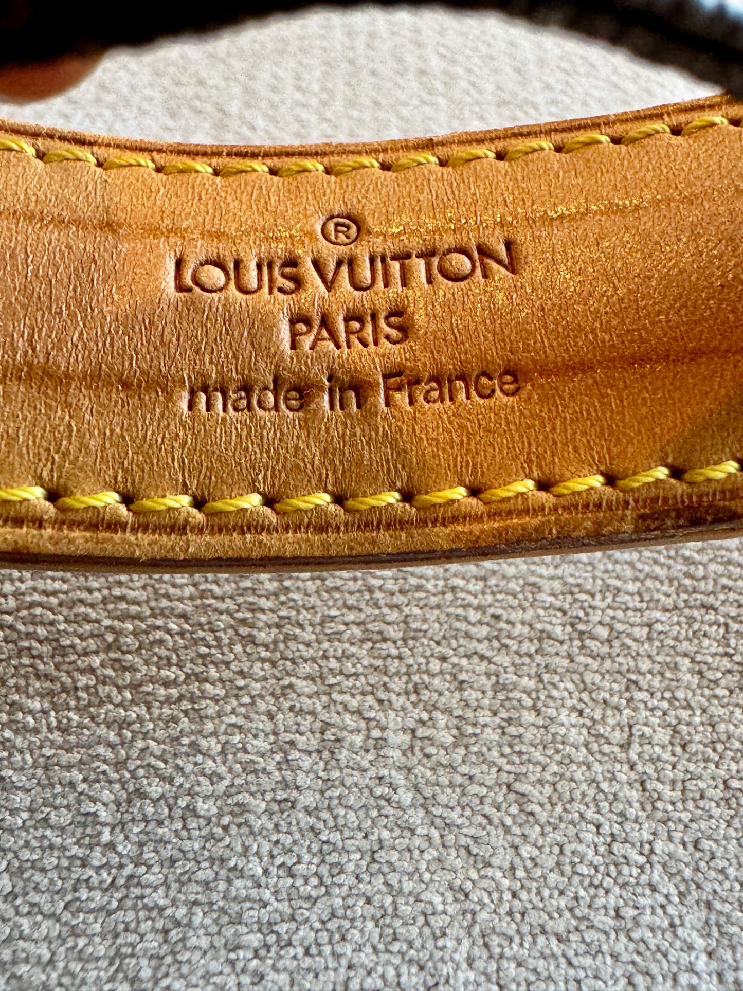 Louis Vuitton Danube Monogram Crossbody Bag