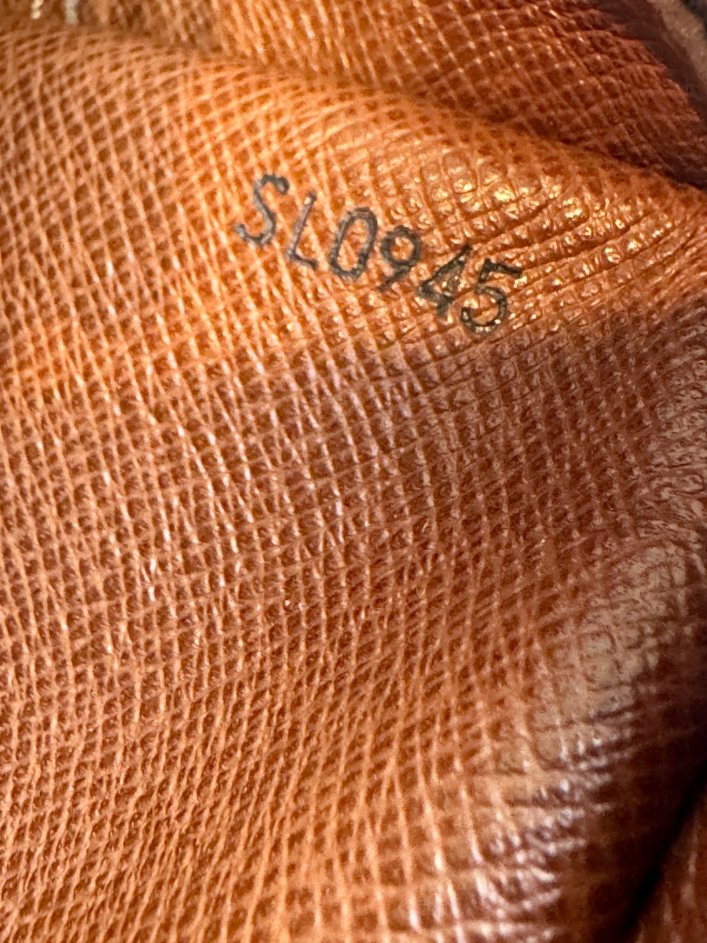 Louis Vuitton Danube Monogram Crossbody Bag