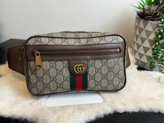 GUCCI Ophidia Supreme Bum Bag