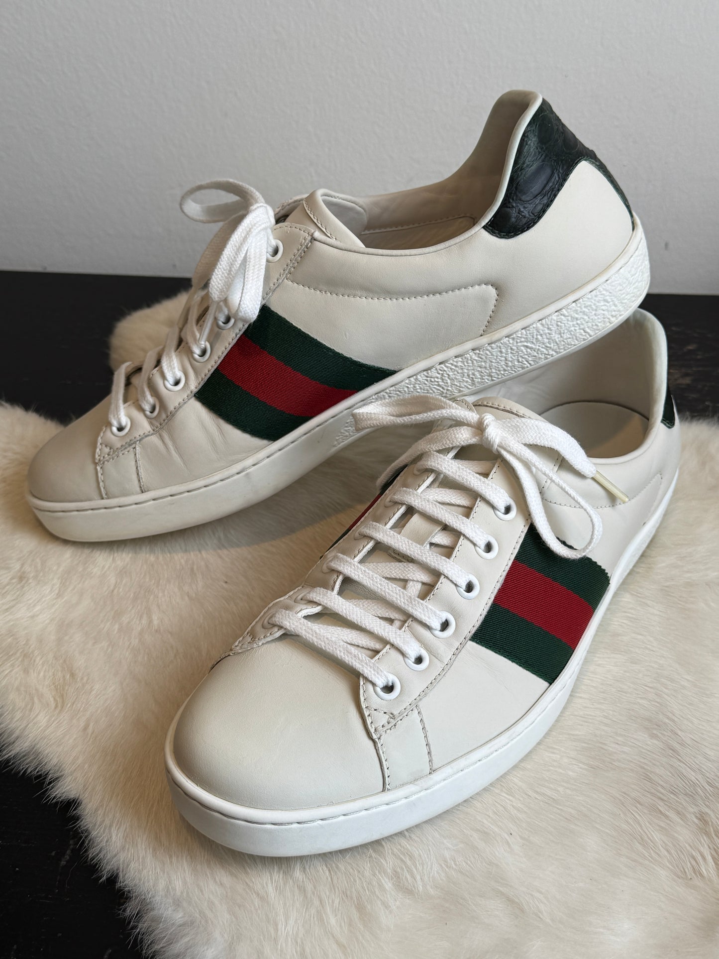 GUCCI Ace Crocodile Web Sneakers Mens 8.5EU (41.5EU)