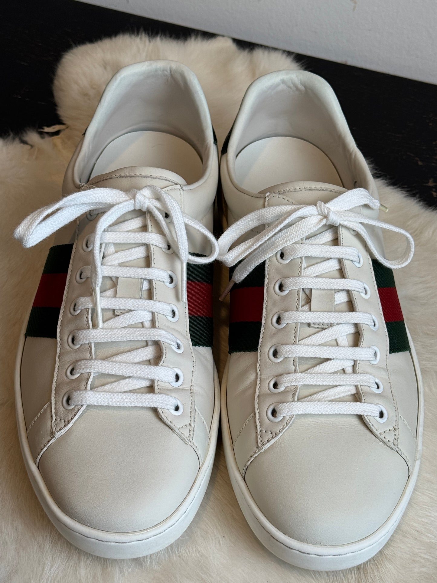 GUCCI Ace Crocodile Web Sneakers Mens 8.5EU (41.5EU)