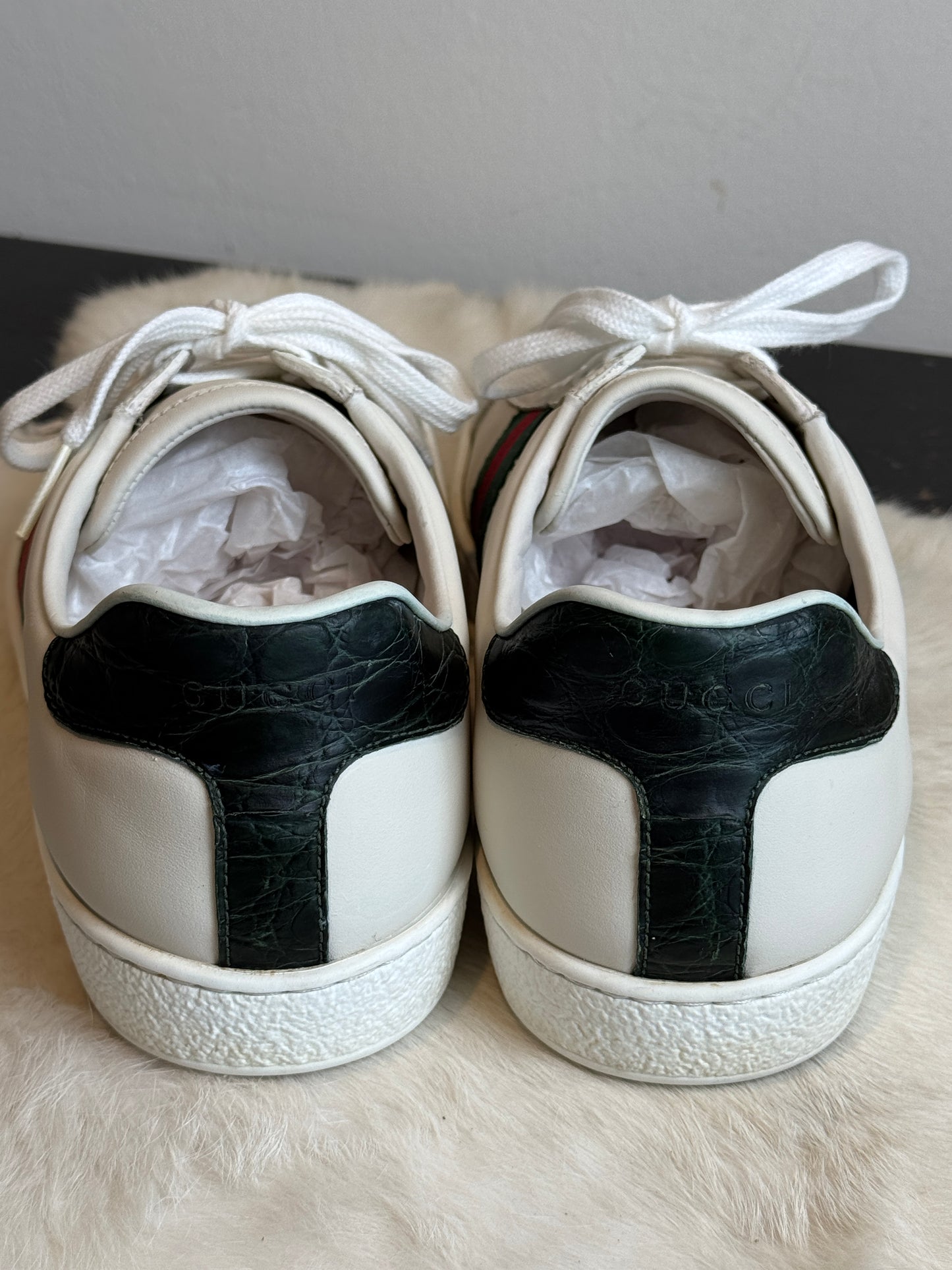 GUCCI Ace Crocodile Web Sneakers Mens 8.5EU (41.5EU)