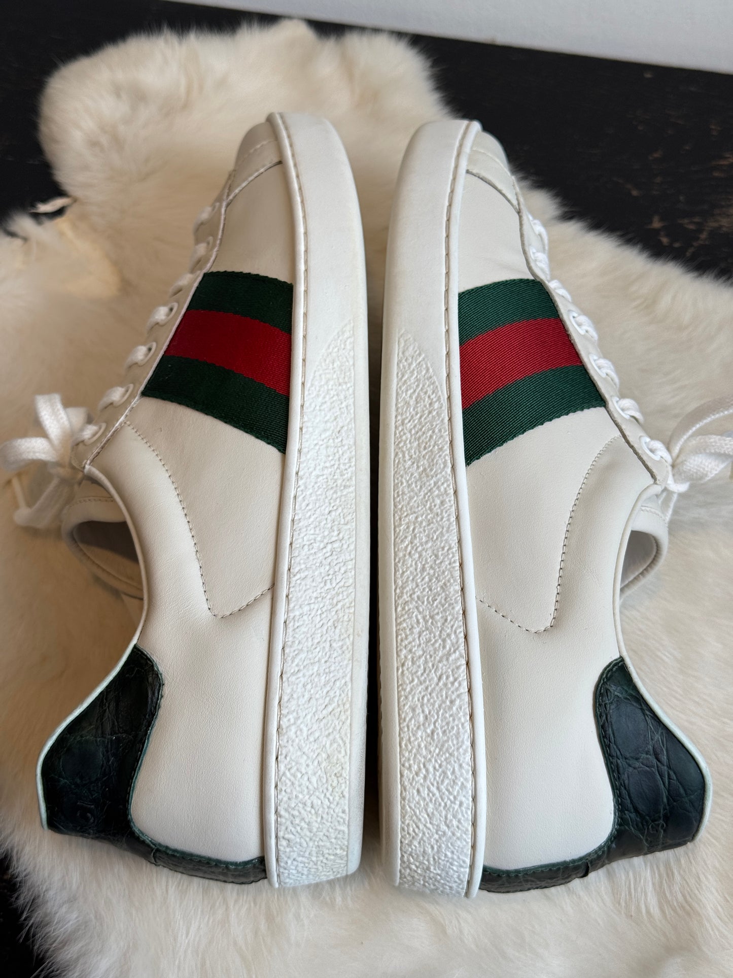 GUCCI Ace Crocodile Web Sneakers Mens 8.5EU (41.5EU)