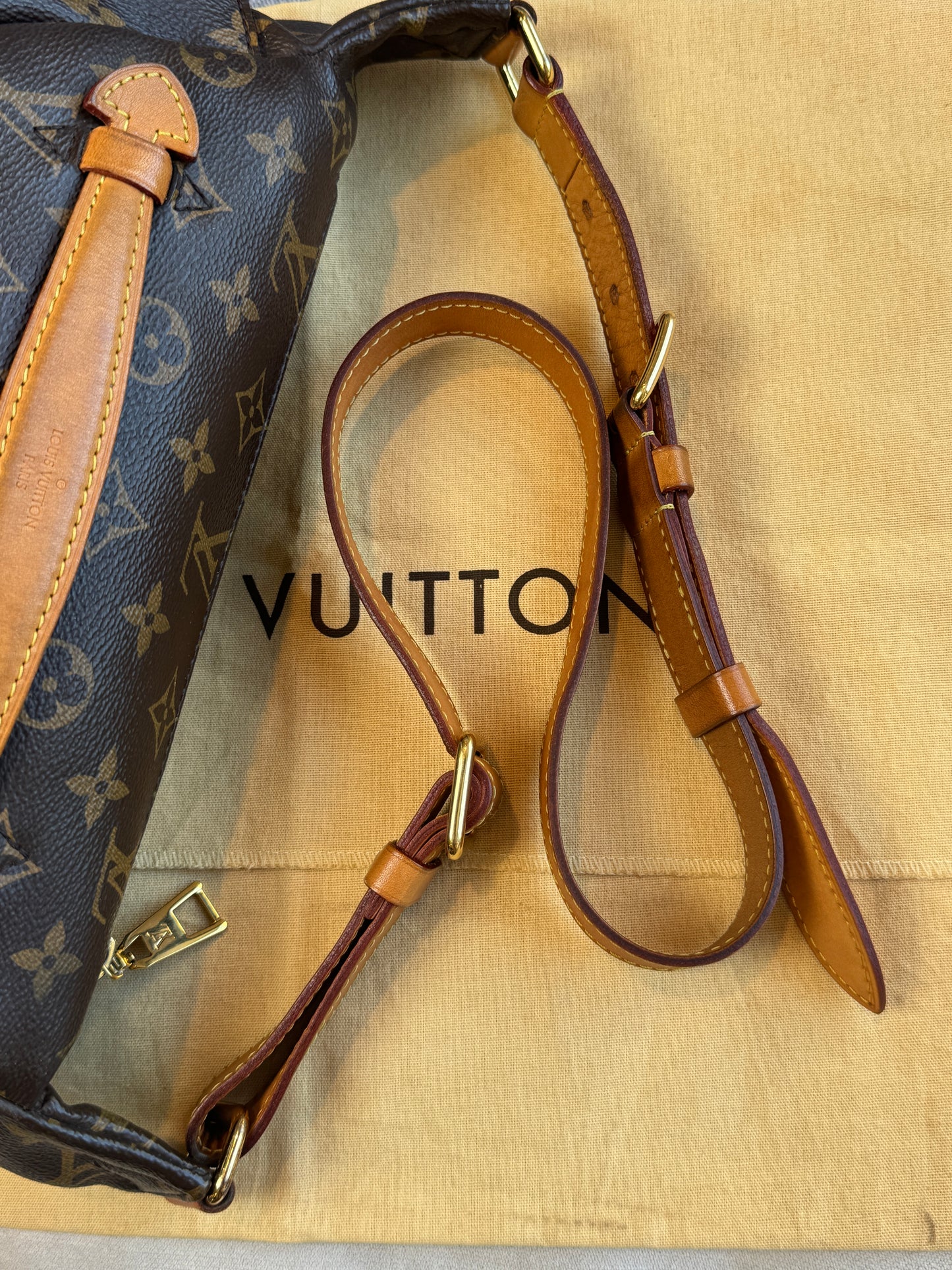 Louis Vuitton Monogram Original Bumbag