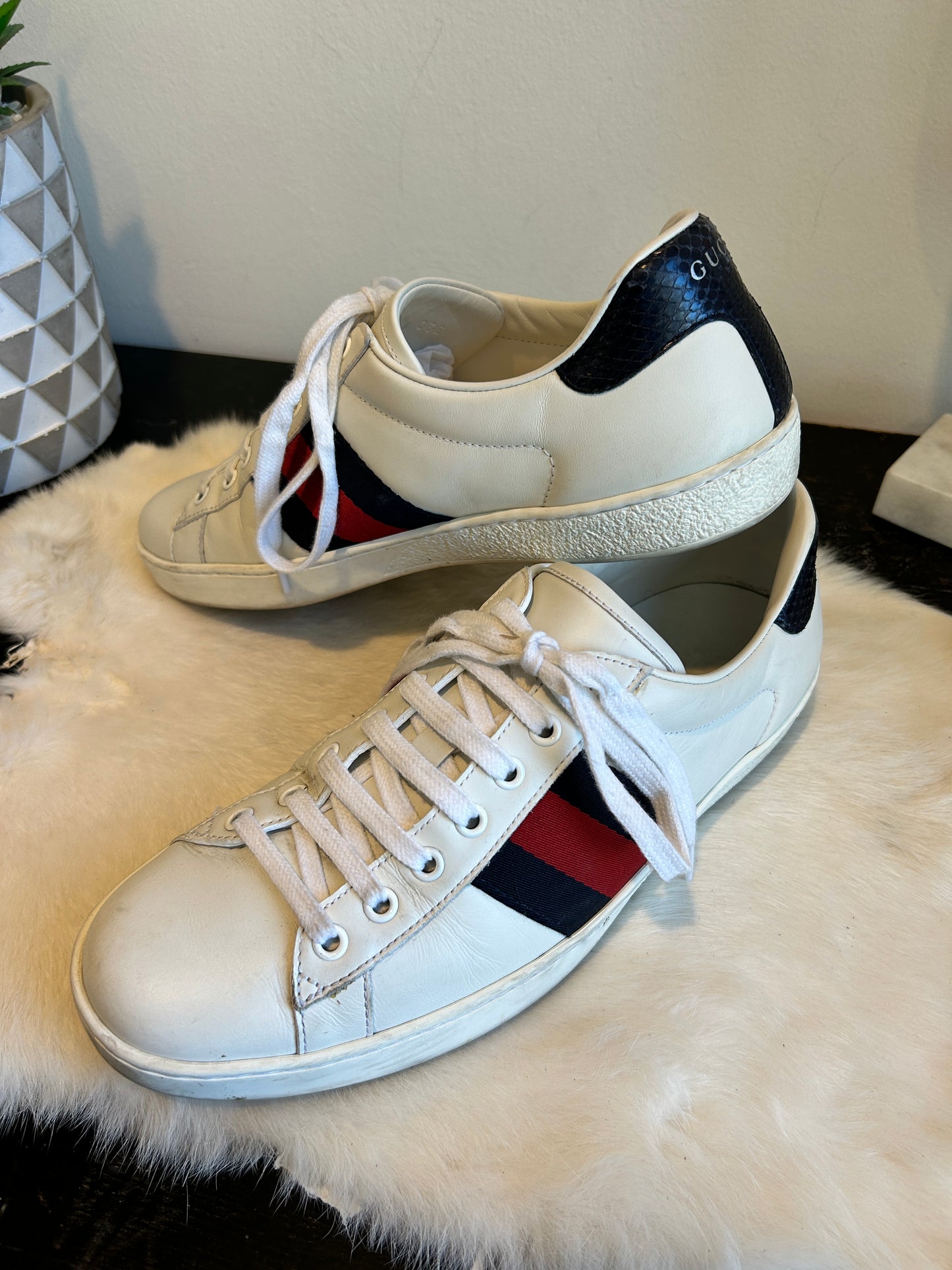 GUCCI Ace Web Navy/Red Sneakers Mens 8EU (41EU Womens)